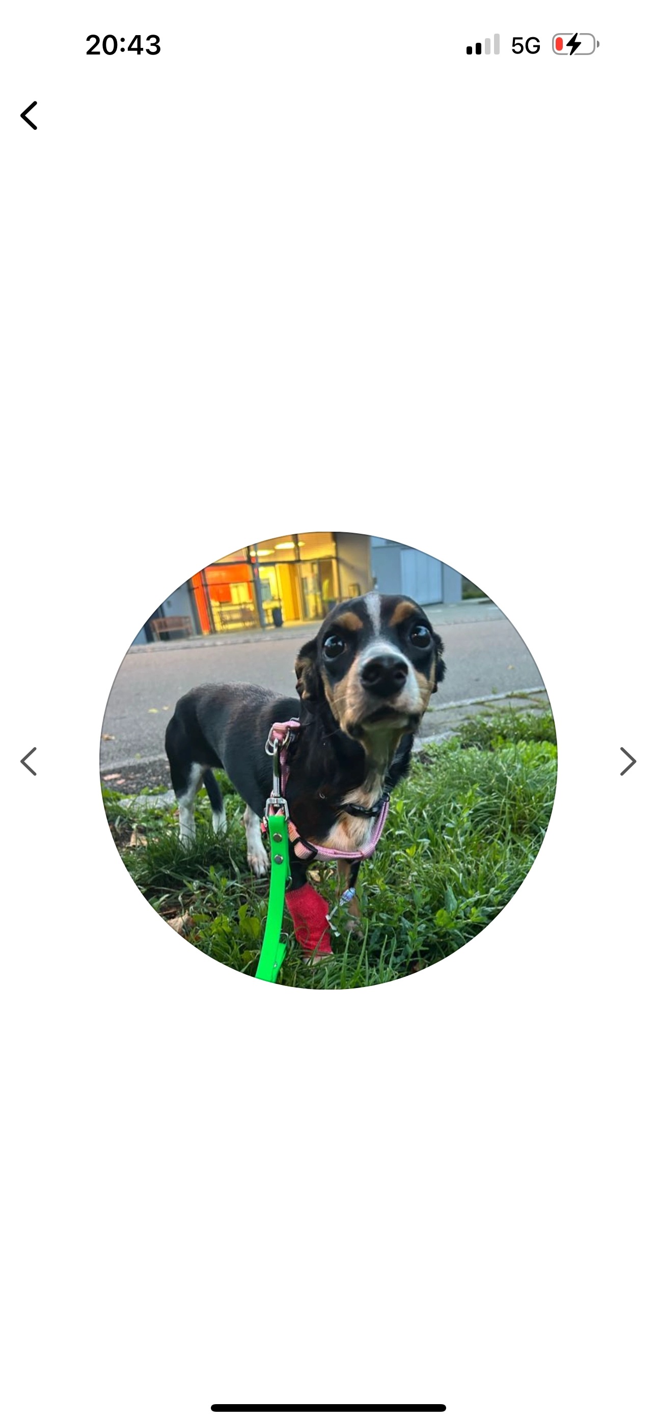 Paul - Emmy-Rebstein-Weg, Ravensburg