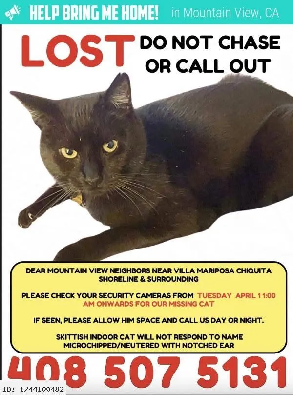 Spooki - 1600 Villa St, Mountain View