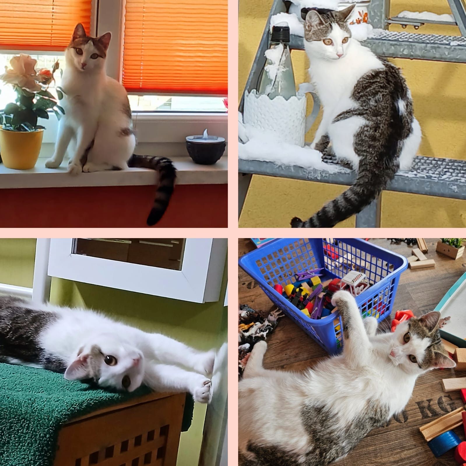 Tanja - Siedlungsweg, Doberschütz