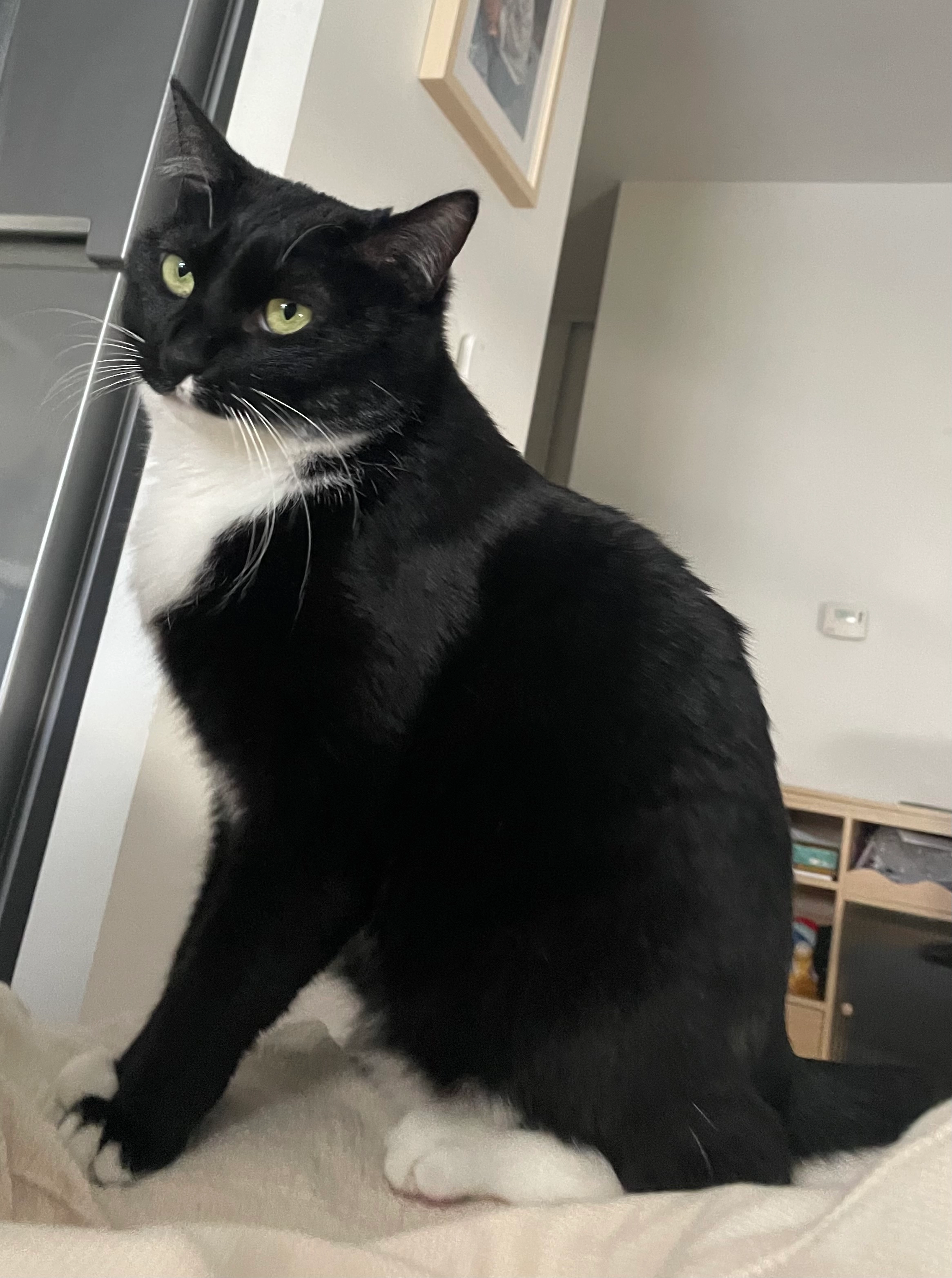 Sockette  - Rue Enrico Fermi, La Rochelle