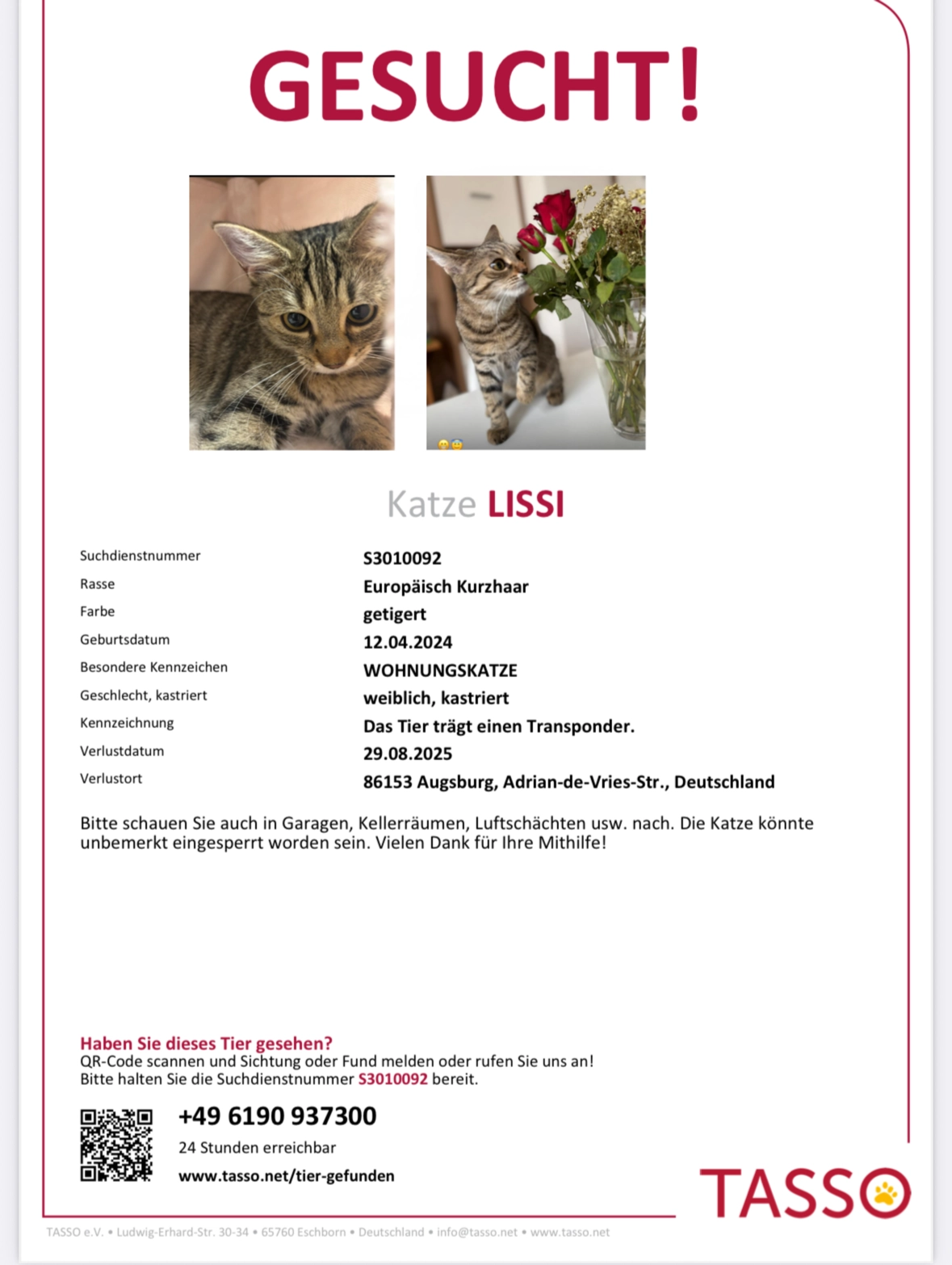 Lissi - Adrian-de-Vries-Straße, Augsburg