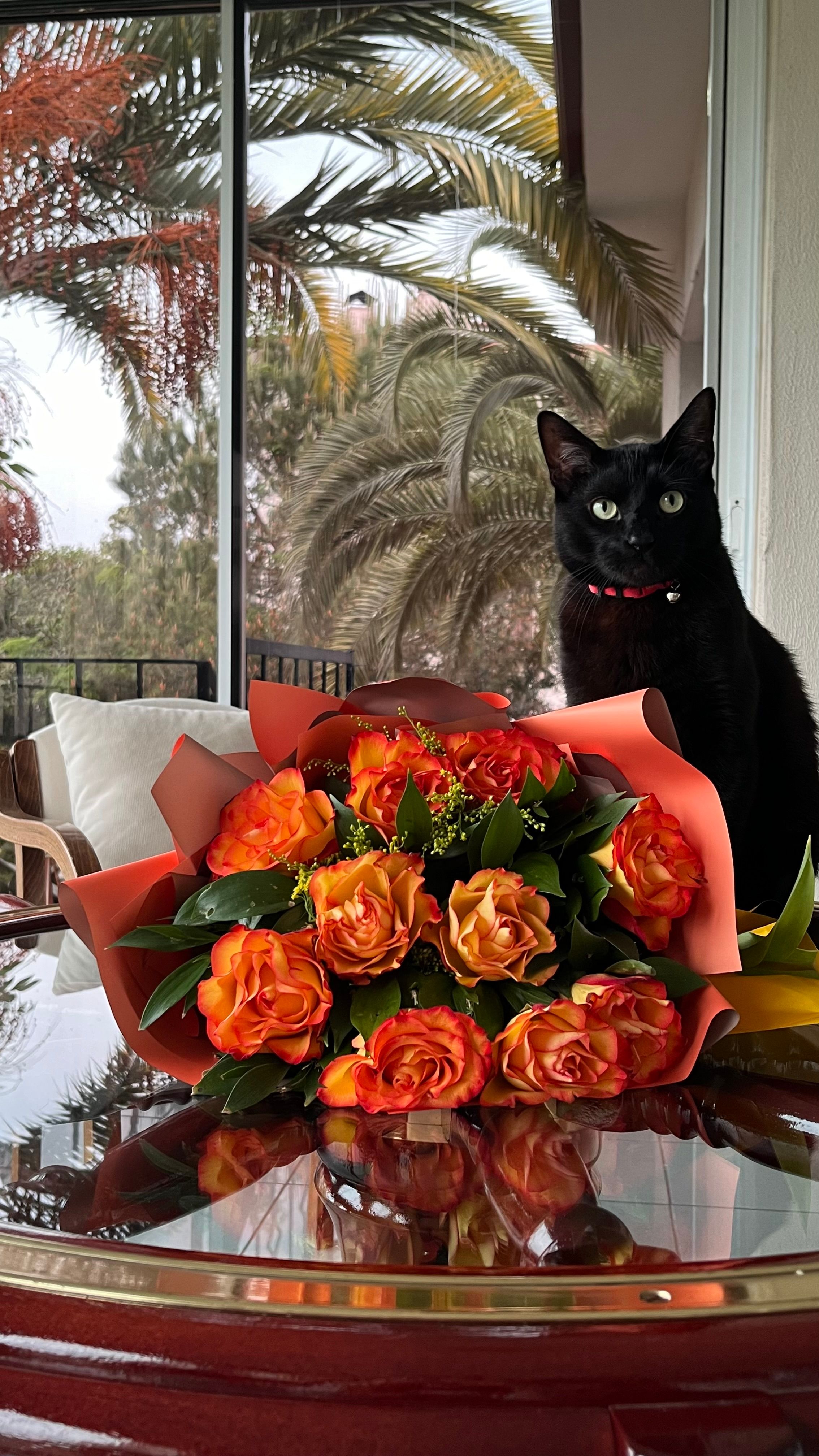 Loki - İhsan Öncel Caddesi, Süleymanlar