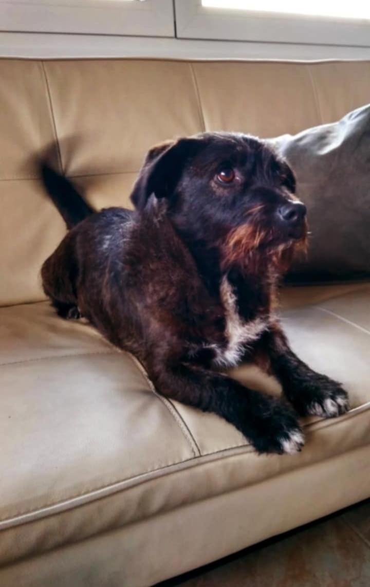 Lily - Καβάλας - Ξάνθης, Κοντά στα Πετρωχορη 