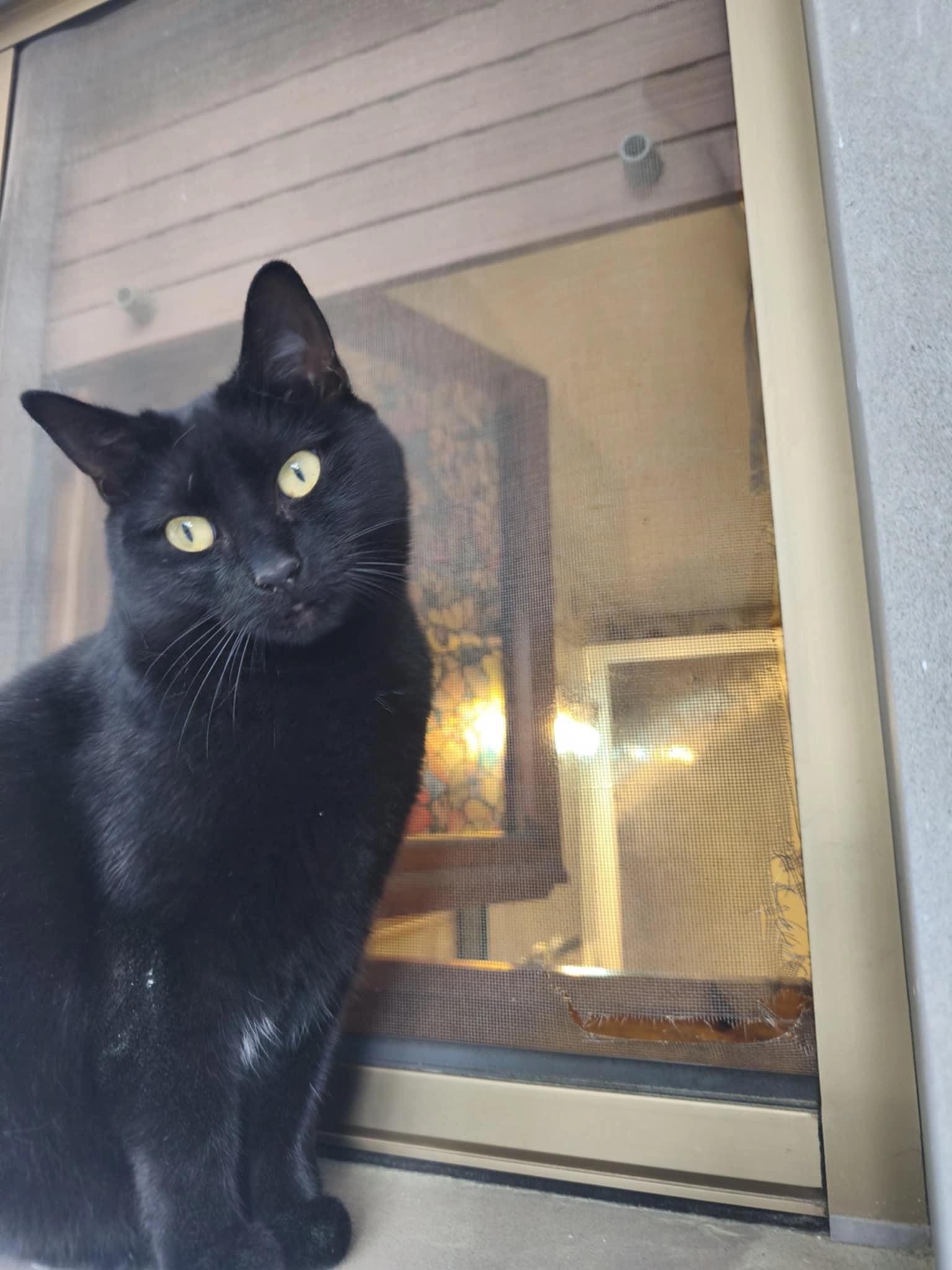 luce - Via del Polipo 37, Grosseto