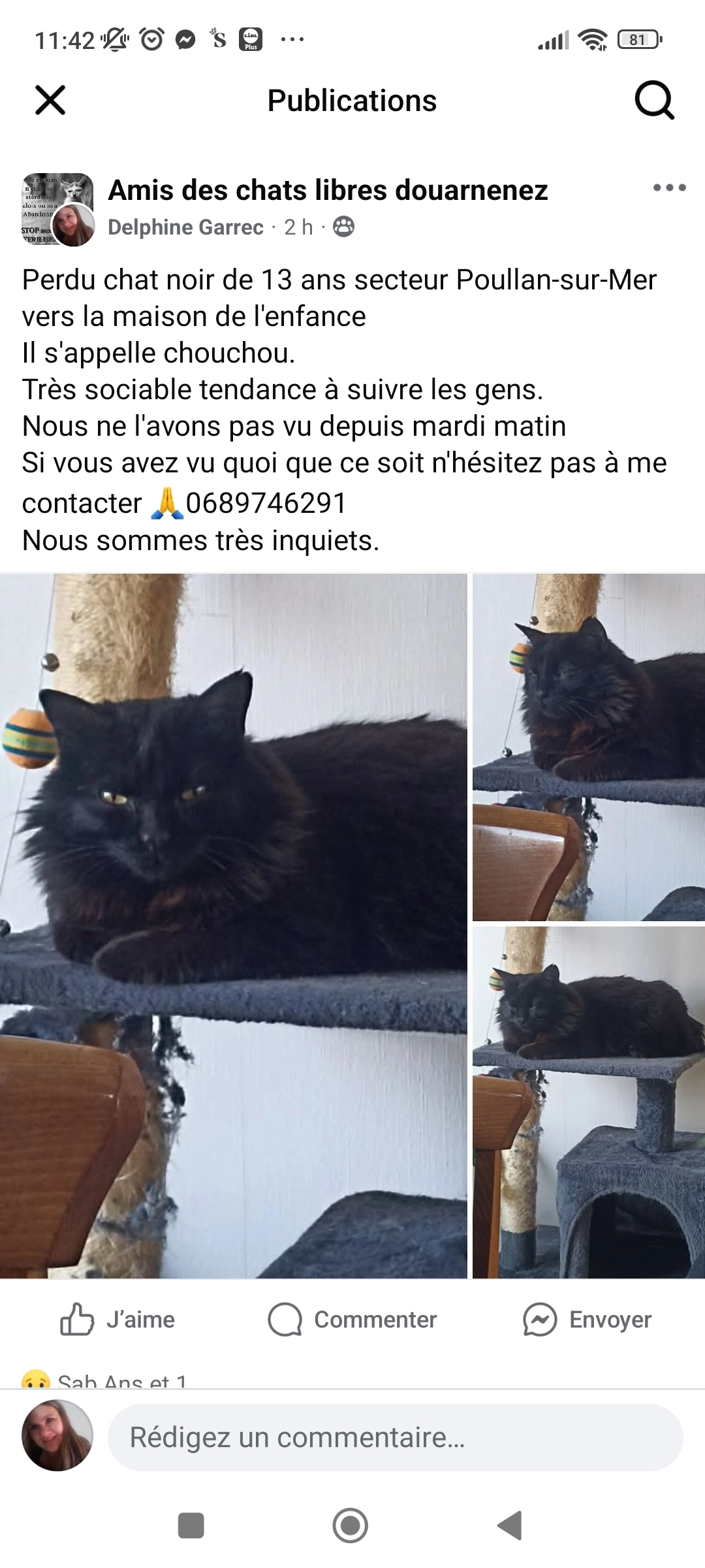 Chouchou - Rue De Penn Ar Yeun, Poullan-sur-Mer