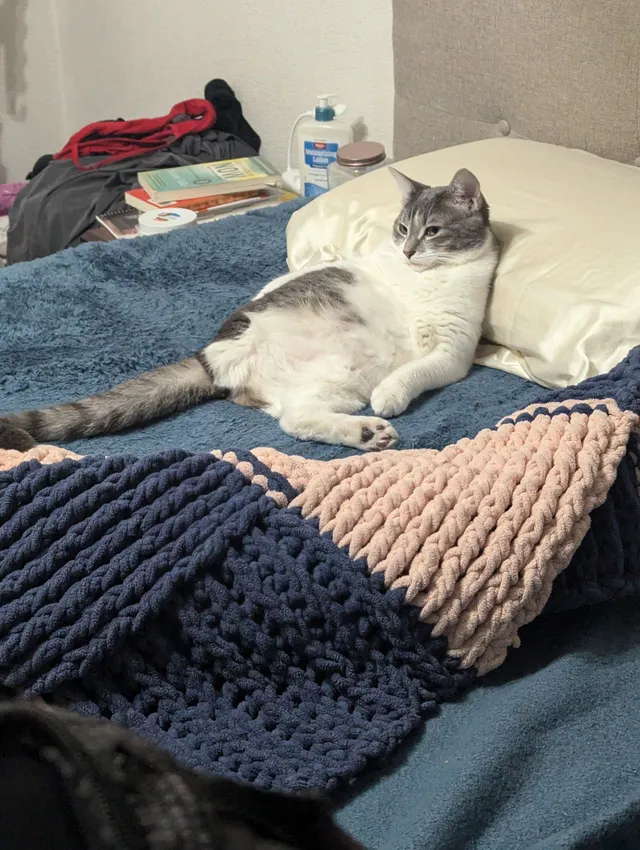 Stormie  - 269 S 300 E, Orem