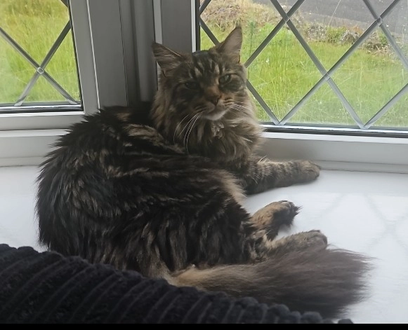 Salem - RG24 8, Basingstoke