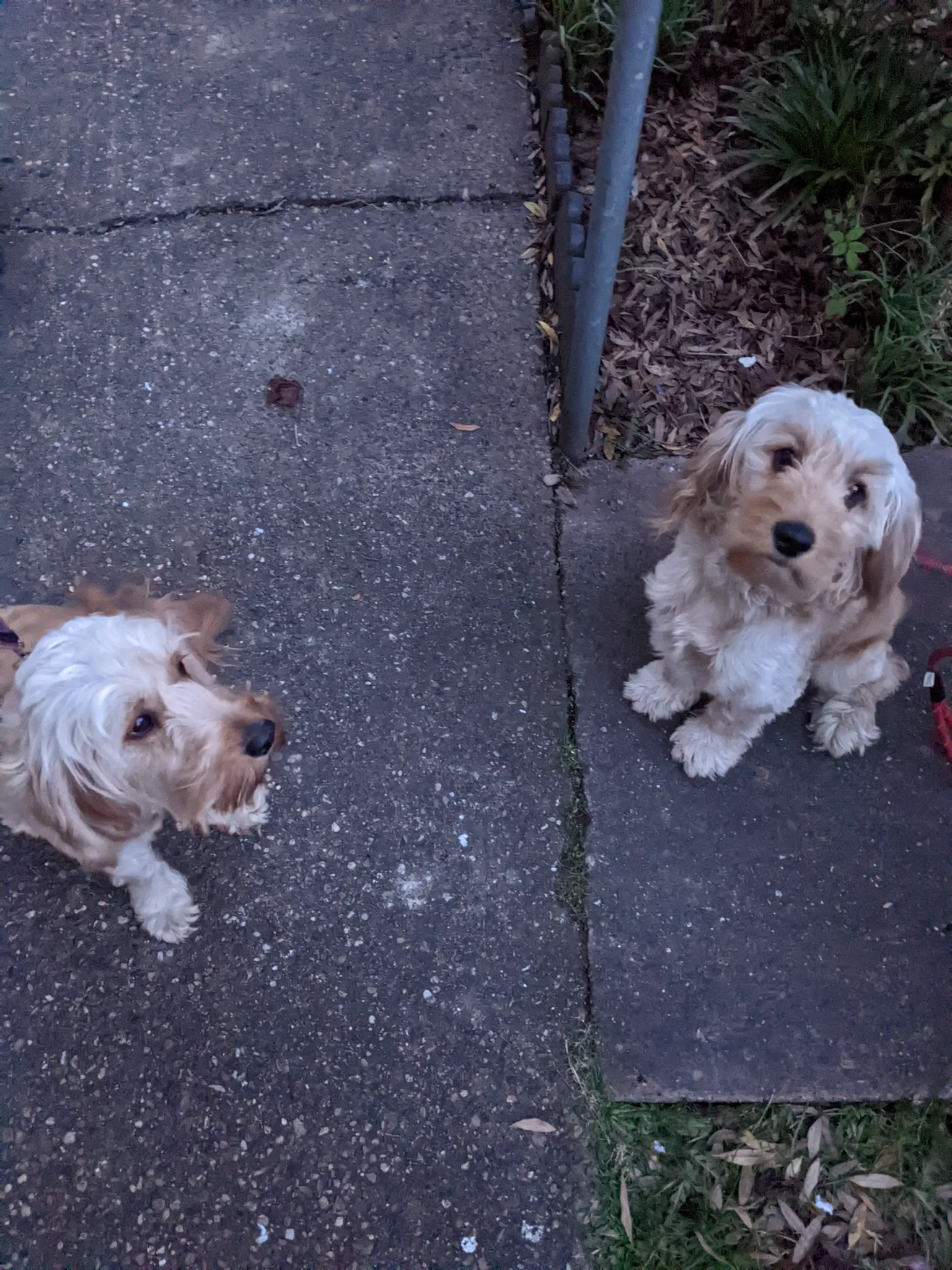 Ken rowley - Lusty Glaze Road, Newquay