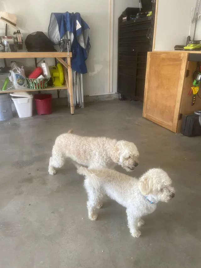 Max - 18044 Olivenhain Dr, Riverside