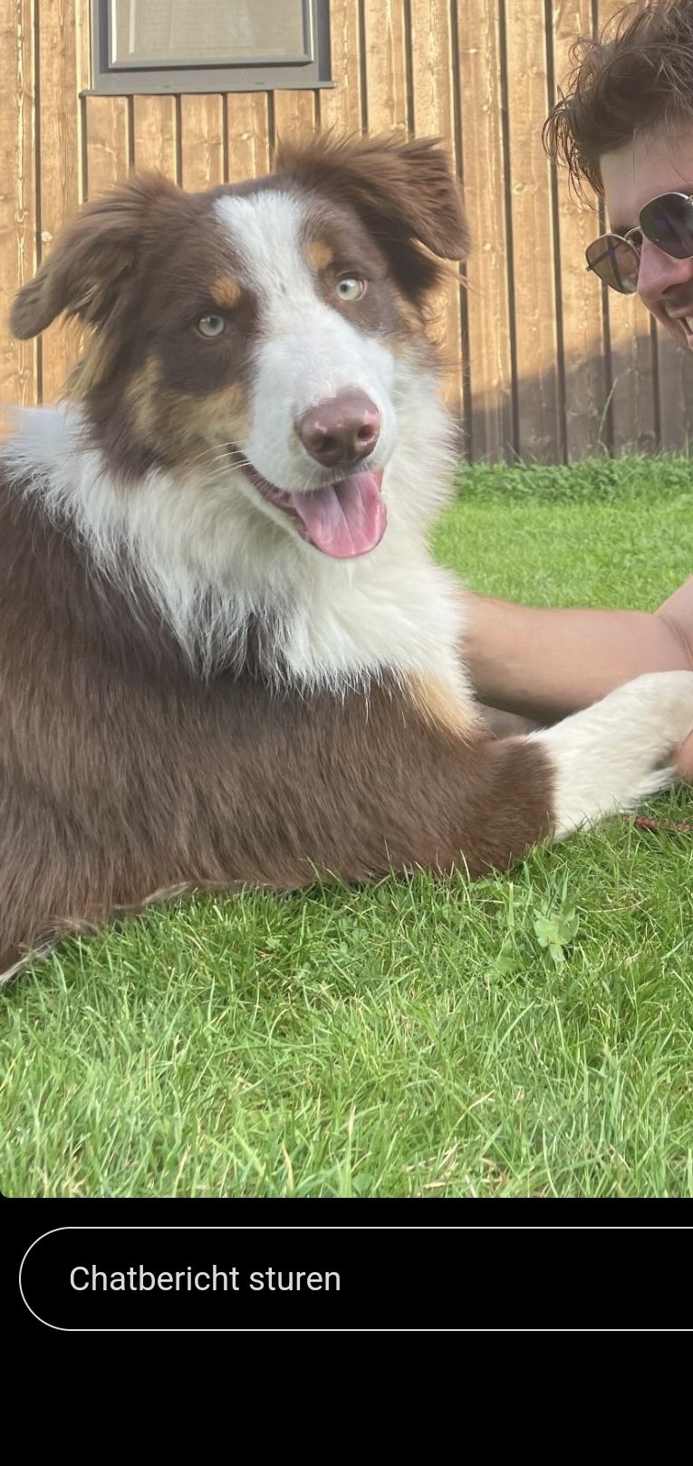 Beer - Industriestraat, Chaam