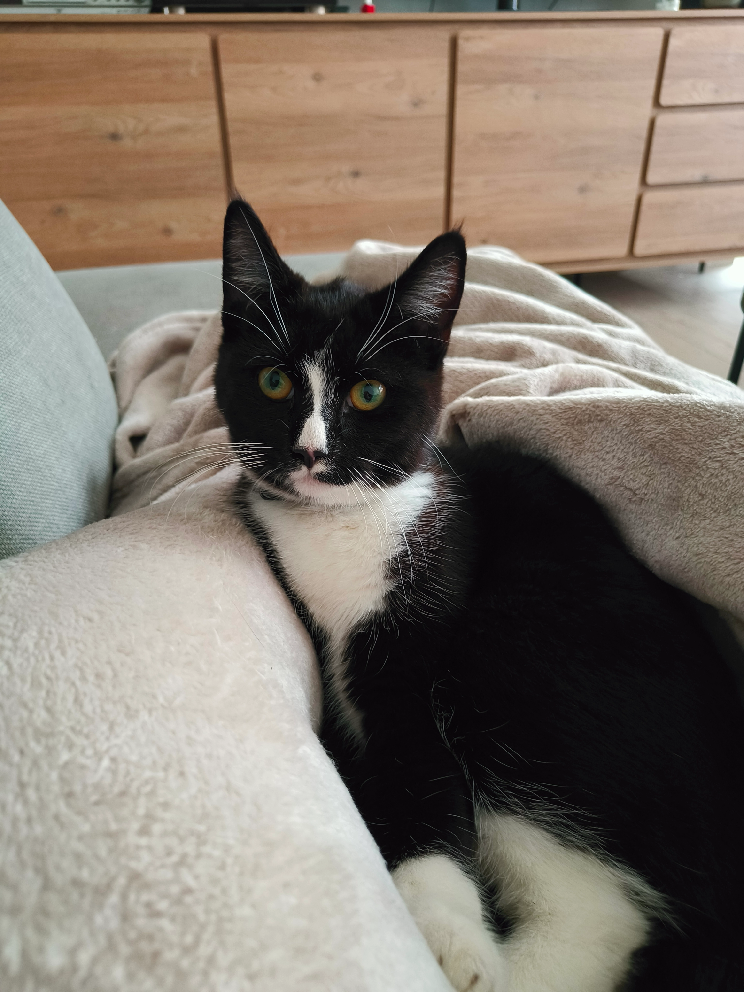 Apollo - Gustaaf Baertstraat, Brugge