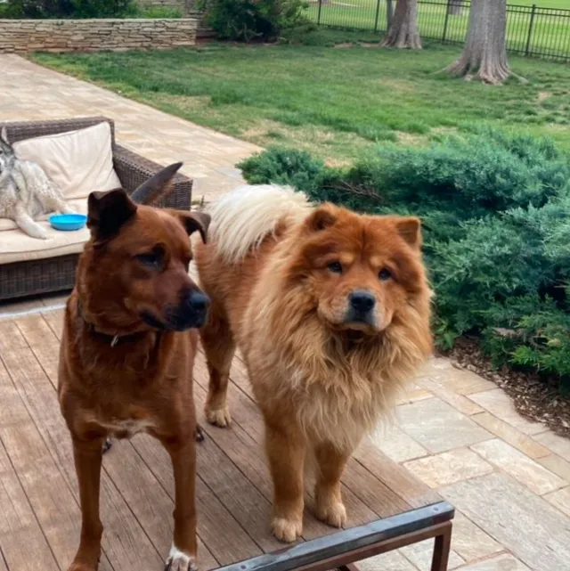 Aslan - 7100 N Country Club Dr, Oklahoma City