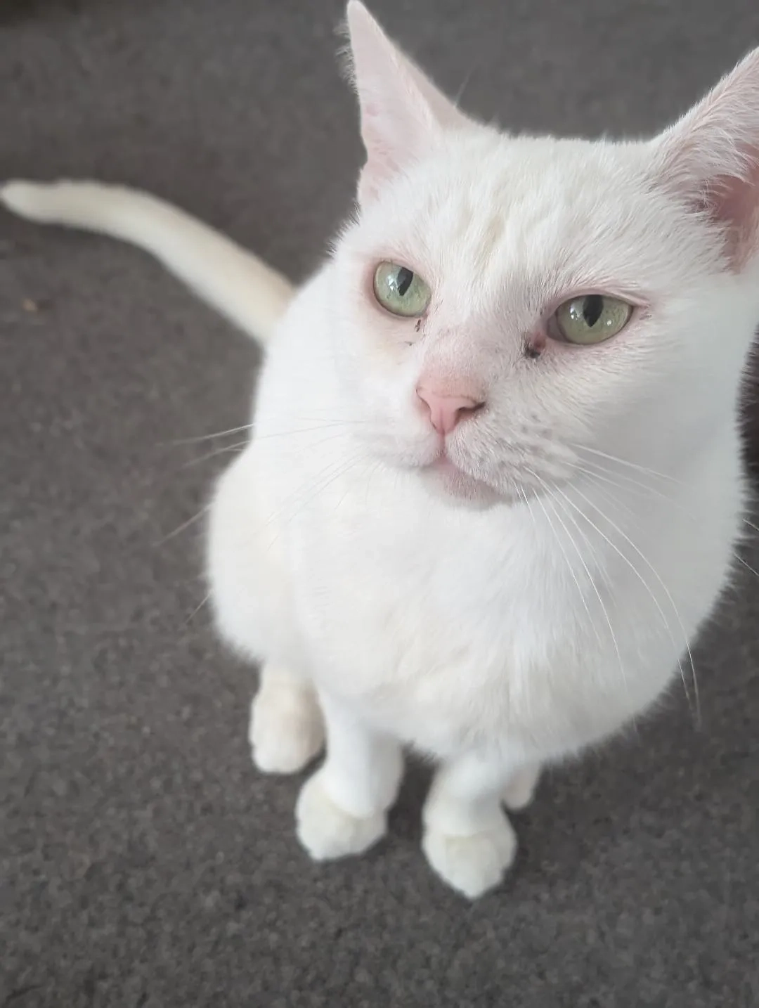 Cloud swayze - Rooms Lane, Leeds