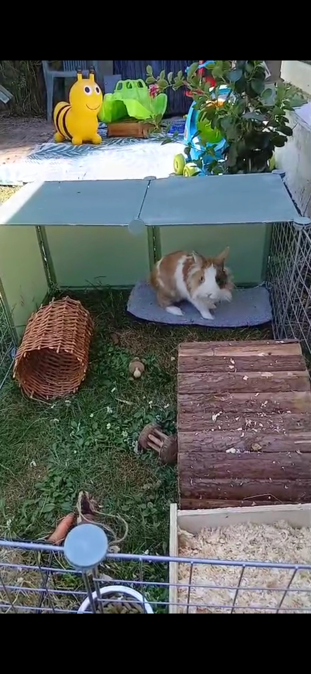 papin - Rue Des Alizés, Hermanville-sur-Mer