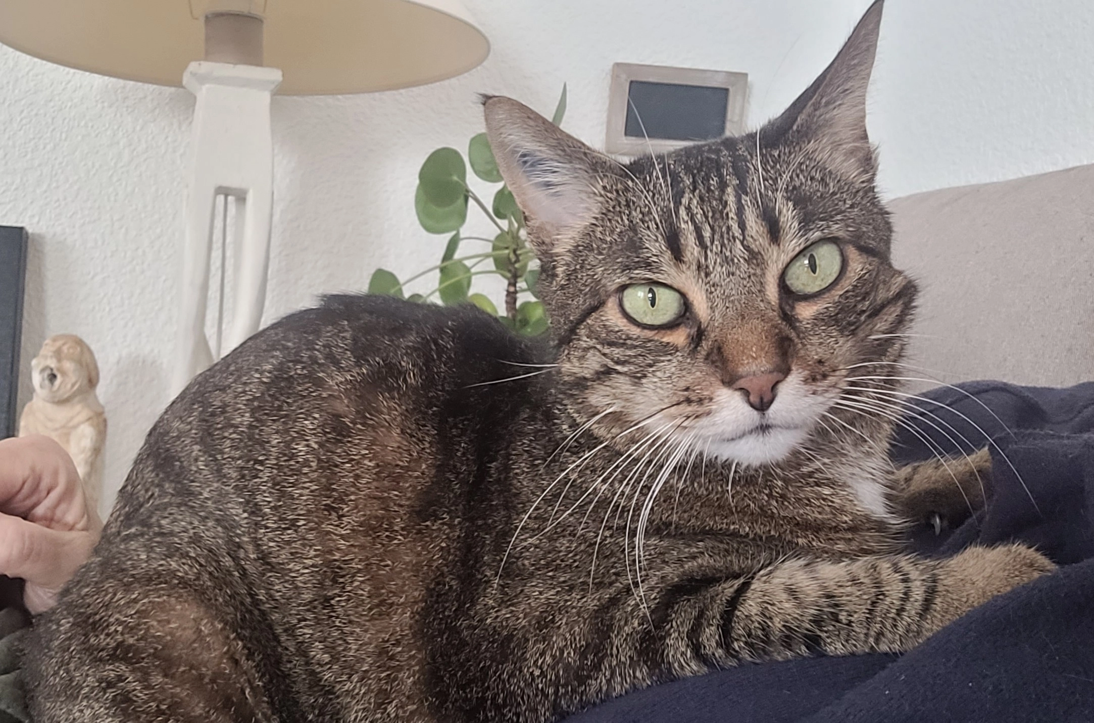 Leon - Rue De Cassou, Anglet