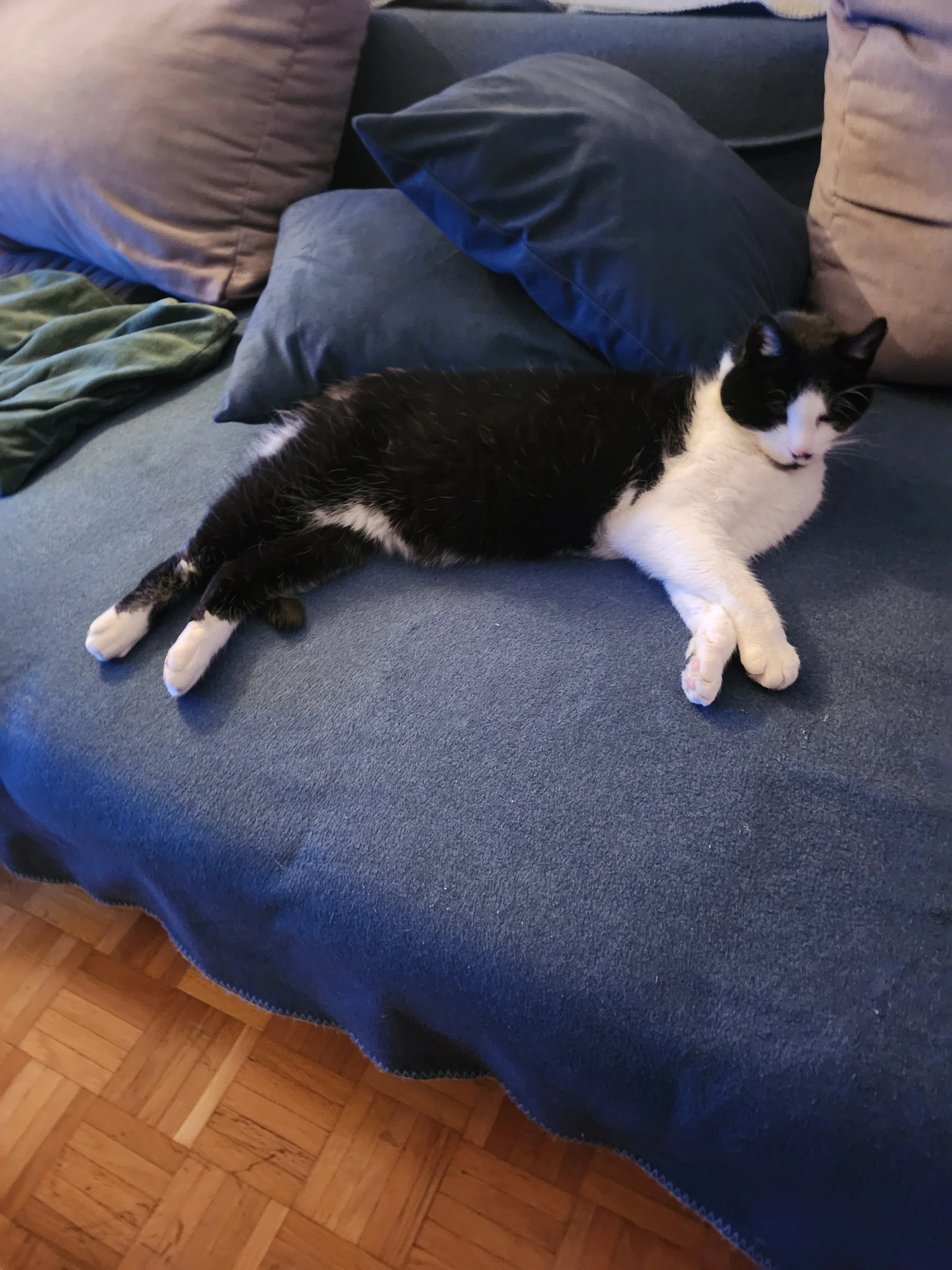 Leo - Warteggstrasse, Rorschacherberg