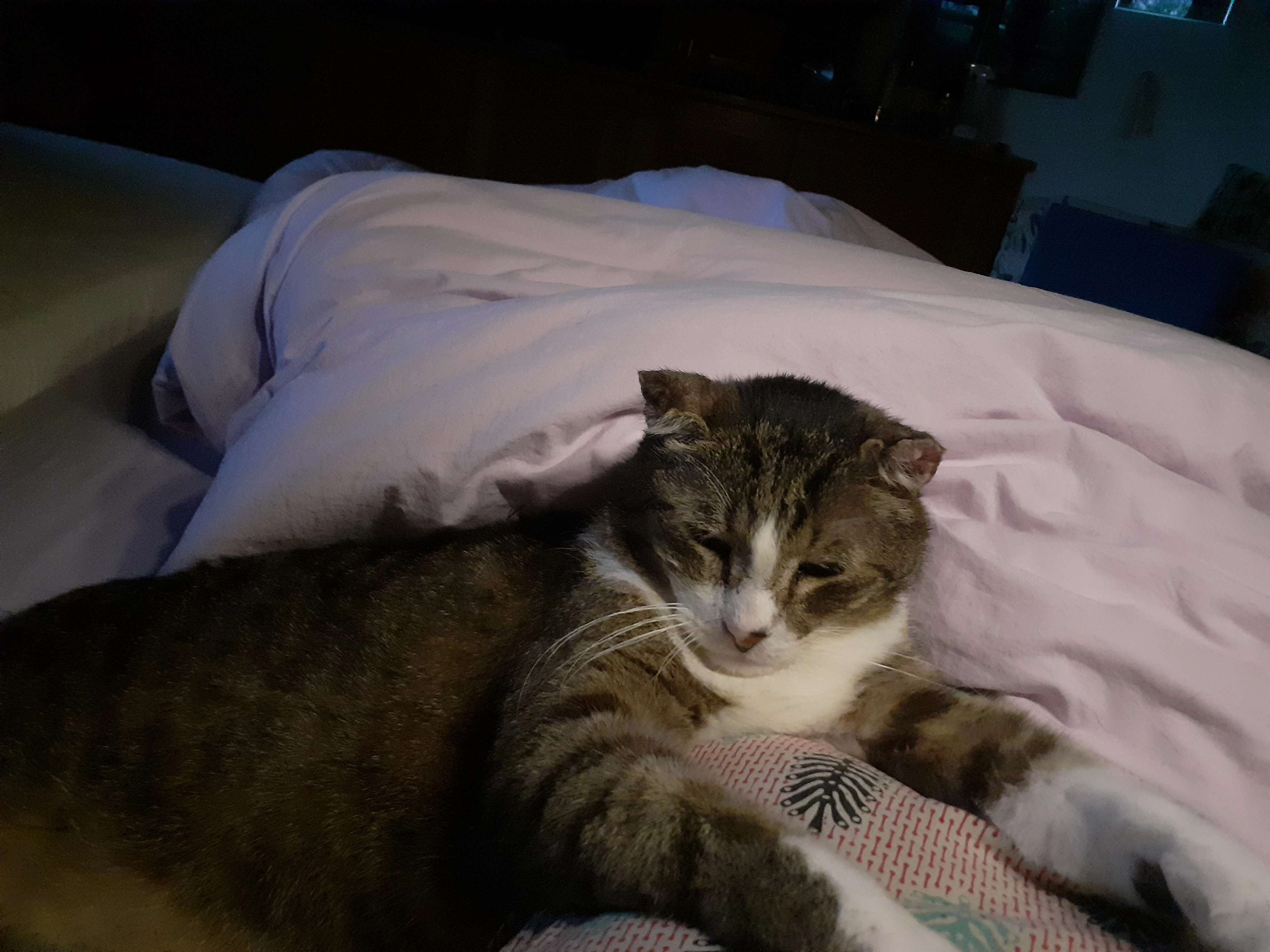 Potz - Hochsteingasse 89, Graz