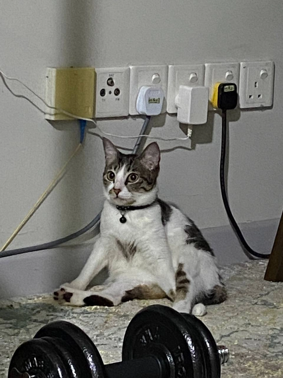 Boba - 70200, Seremban