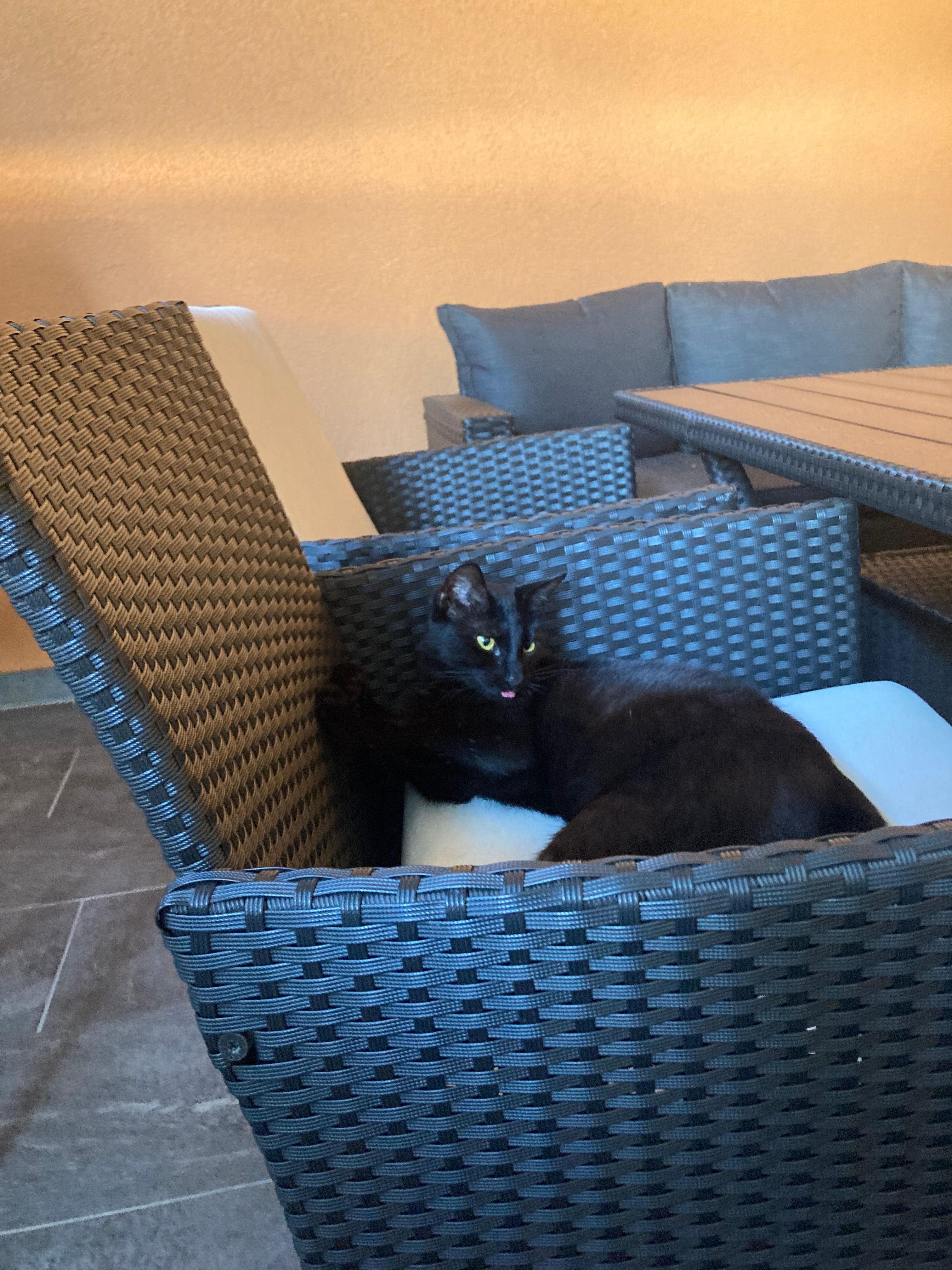 Speedy - Obgrün, Großwilfersdorf