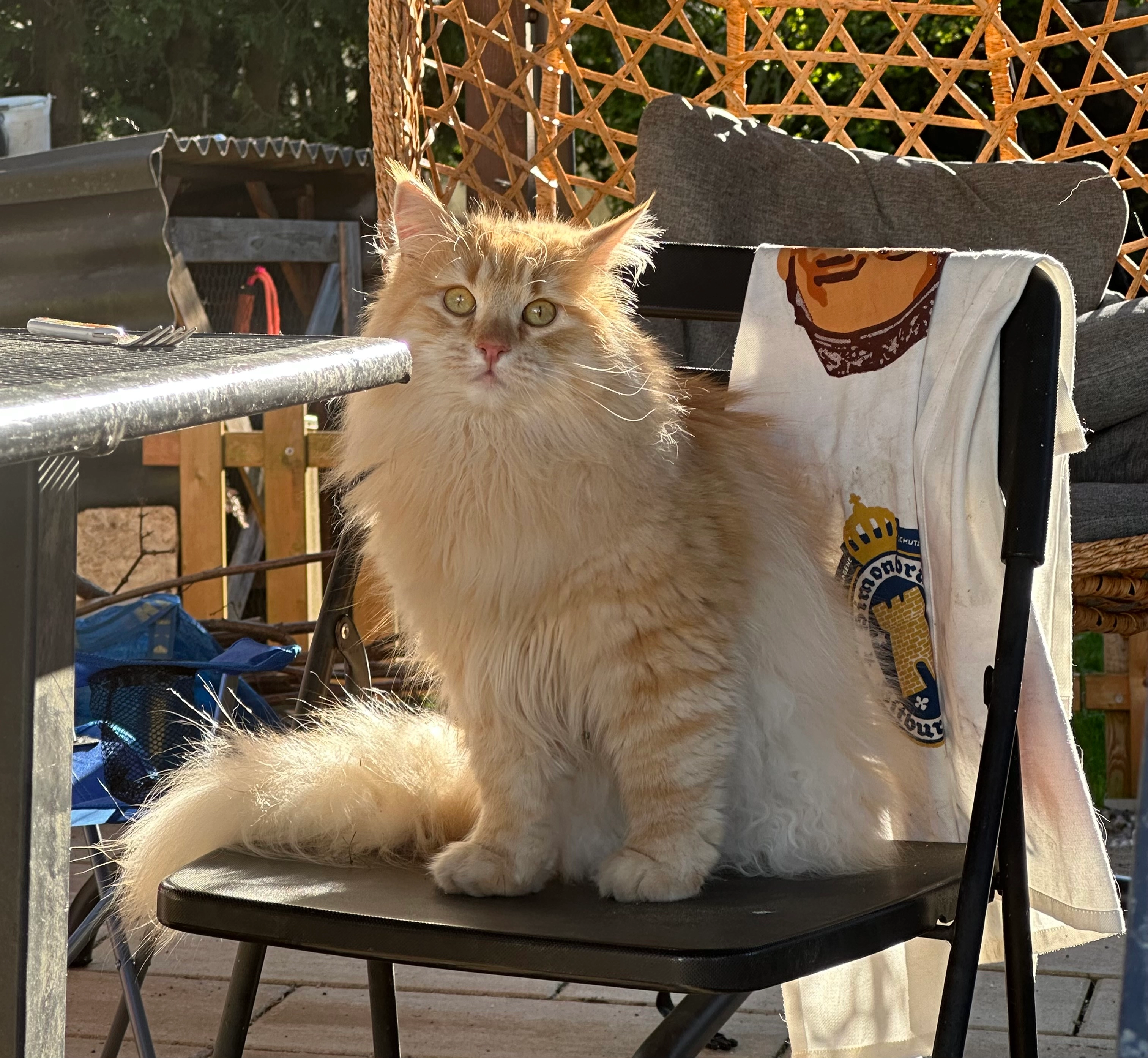 Merlin - Röttlerstraße, Maulburg