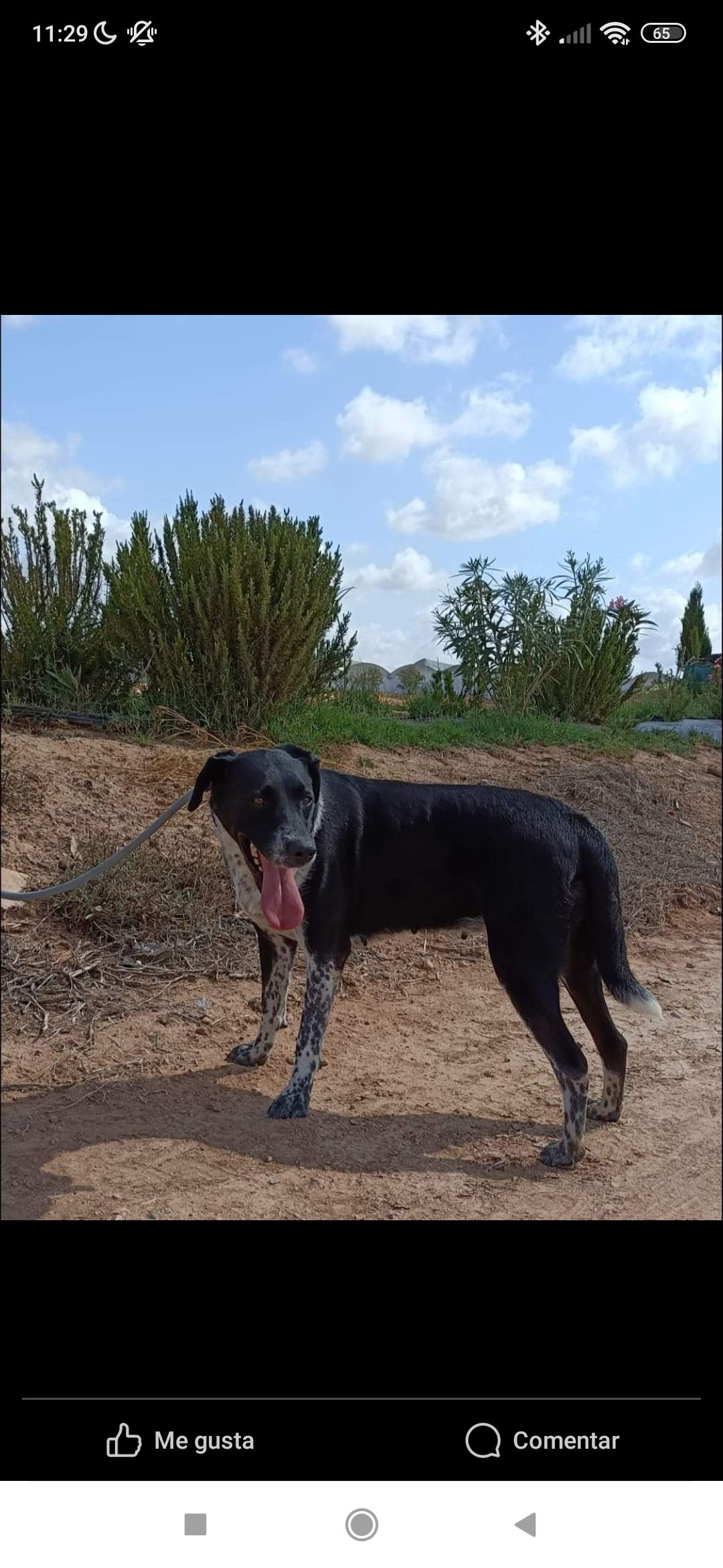 Mika - Los Infiernos, Torre-Pacheco