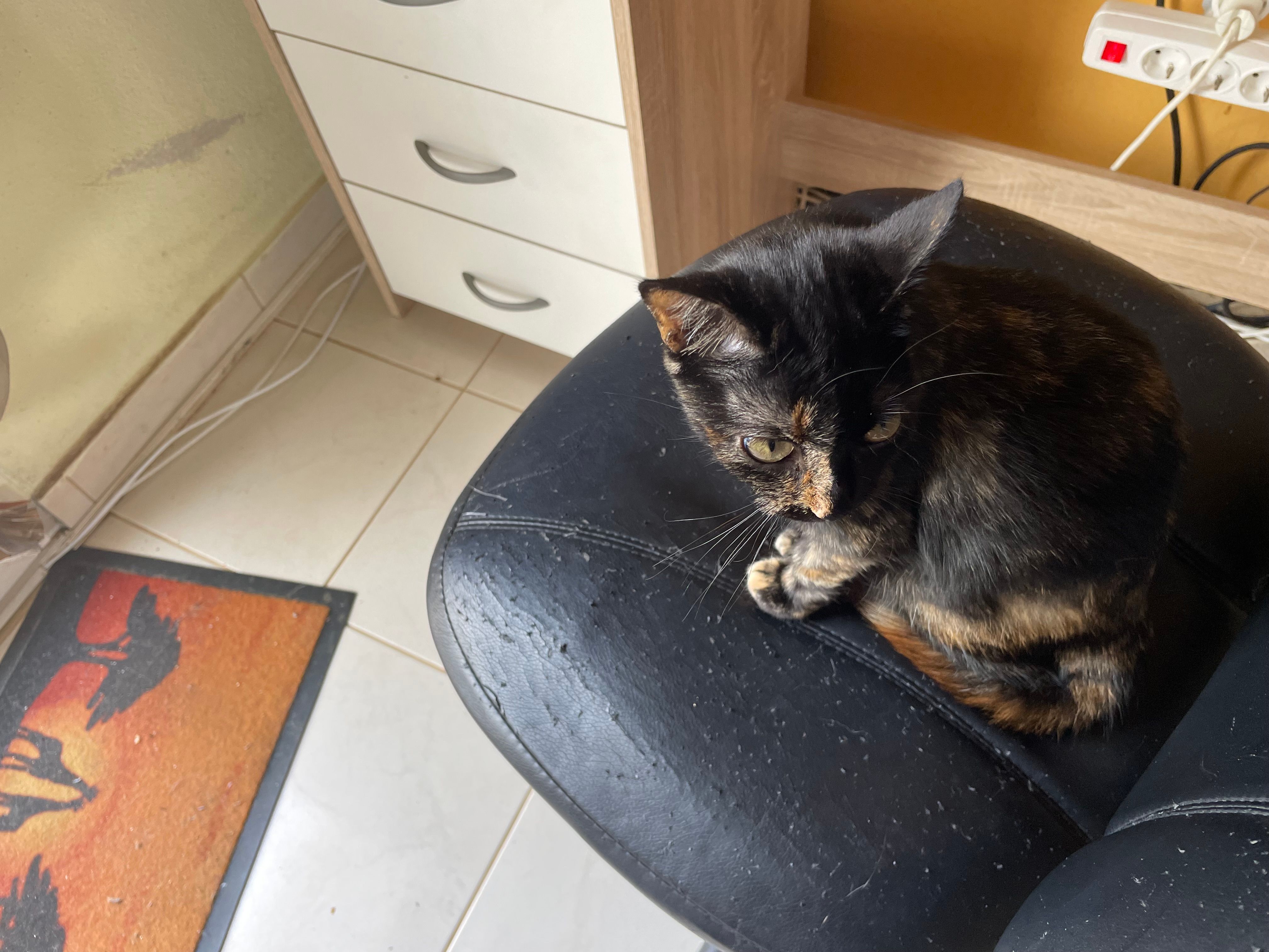 Mini - Caminho dos Barrancos, Guia