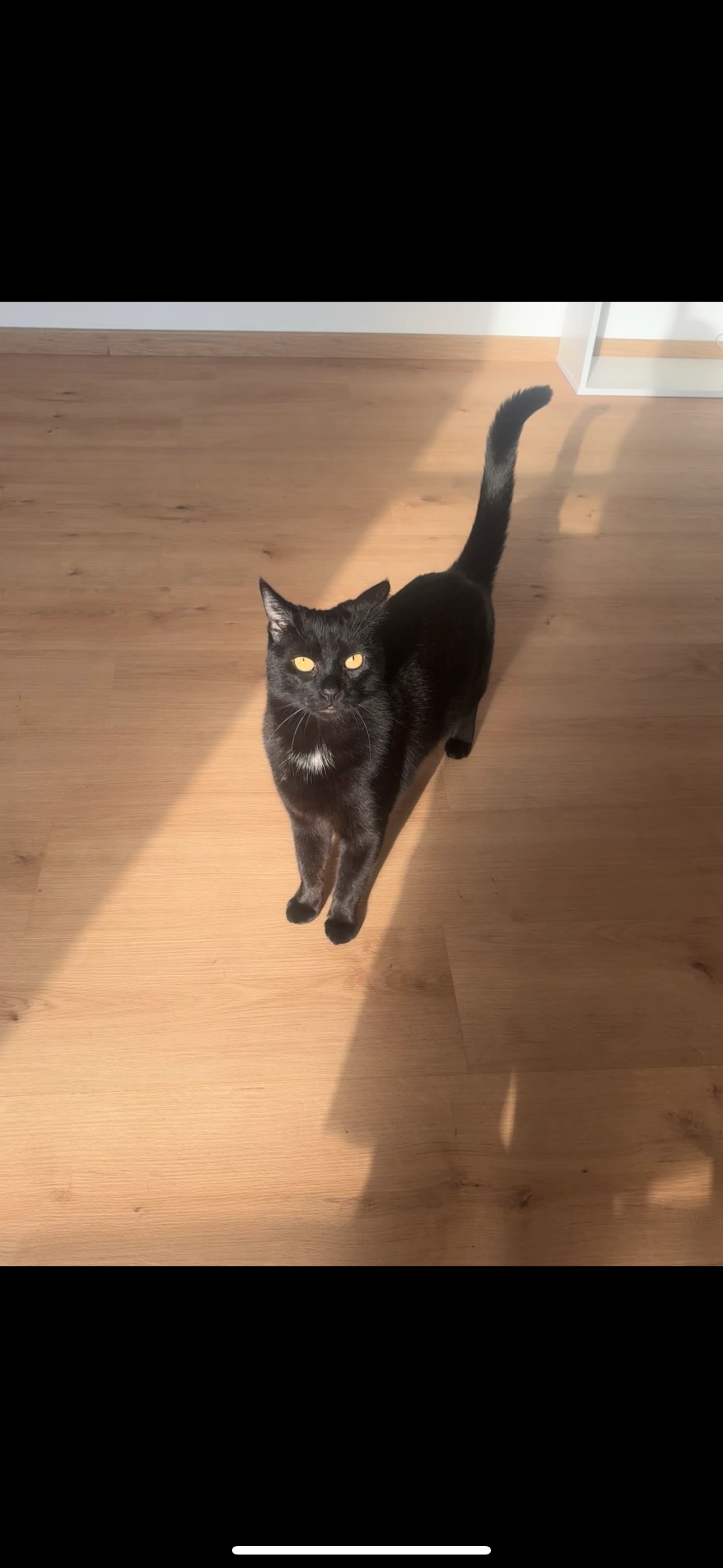 Sylvester  - Bahnhofstraße, Tettau