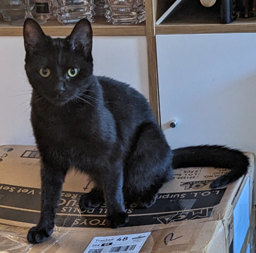 Luna - Davenham Road, Northwich