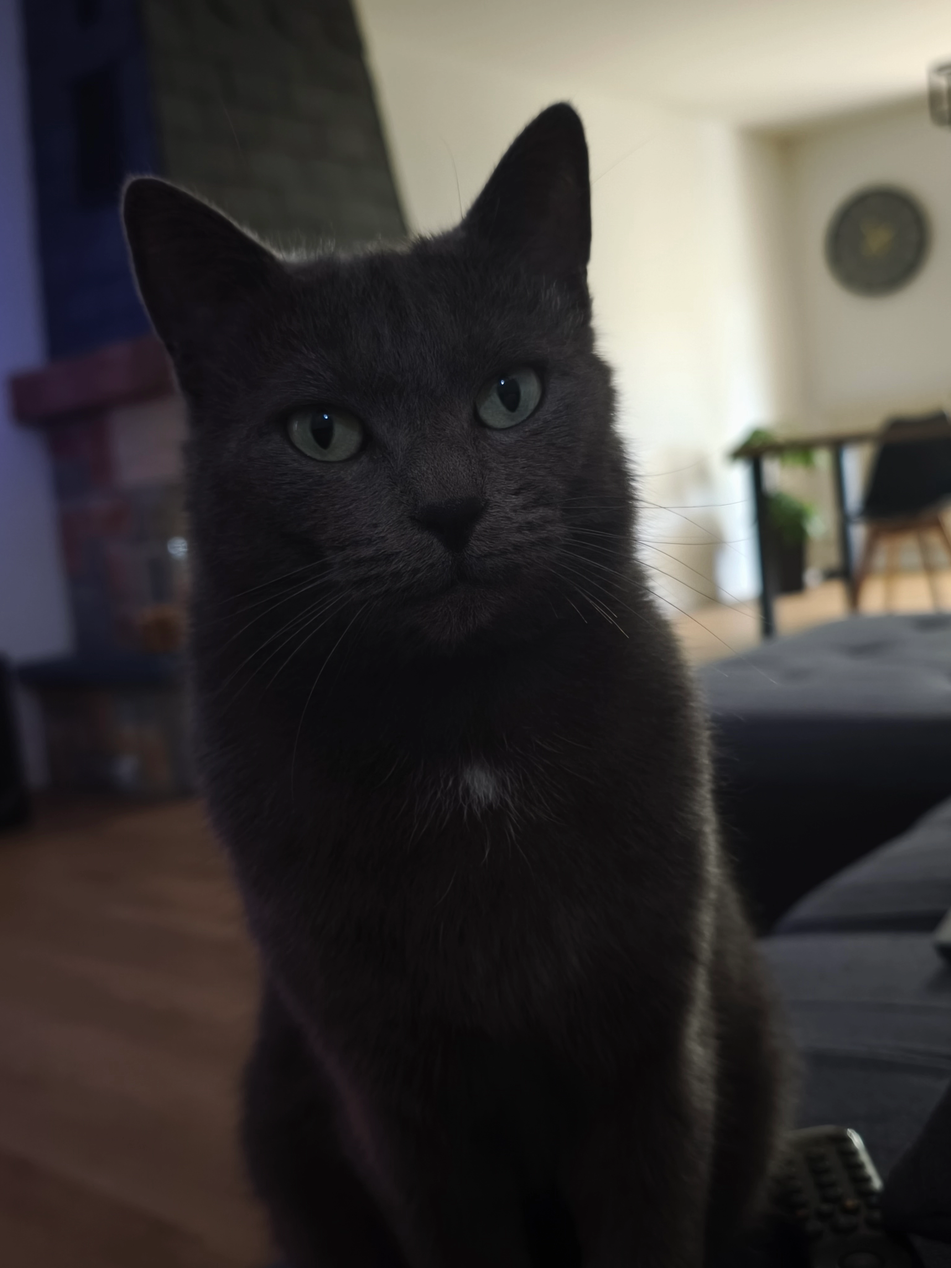 Bunny - Rue des Colibris, Bully-les-Mines