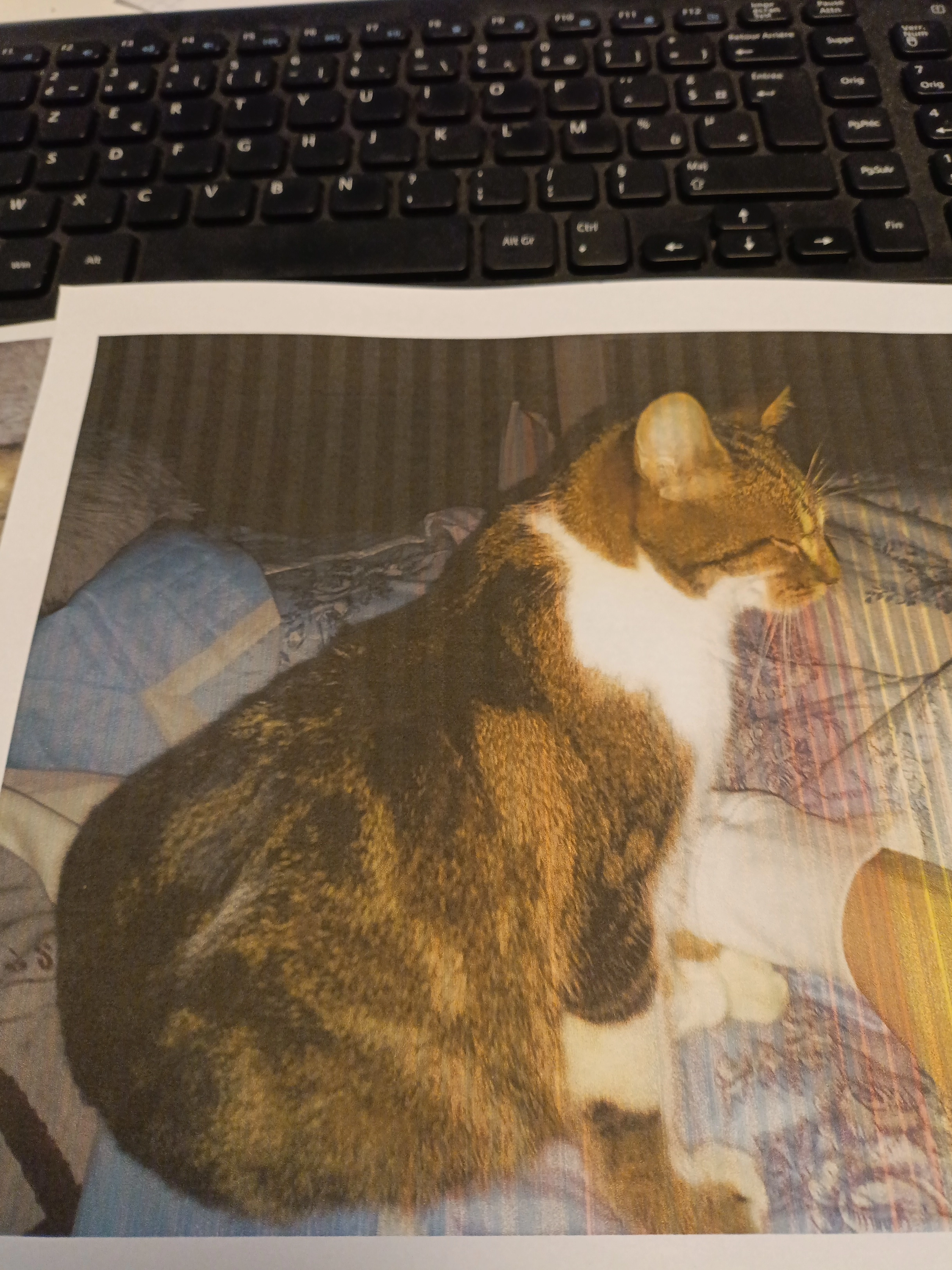 Harley  - Route De Crulai, Chandai