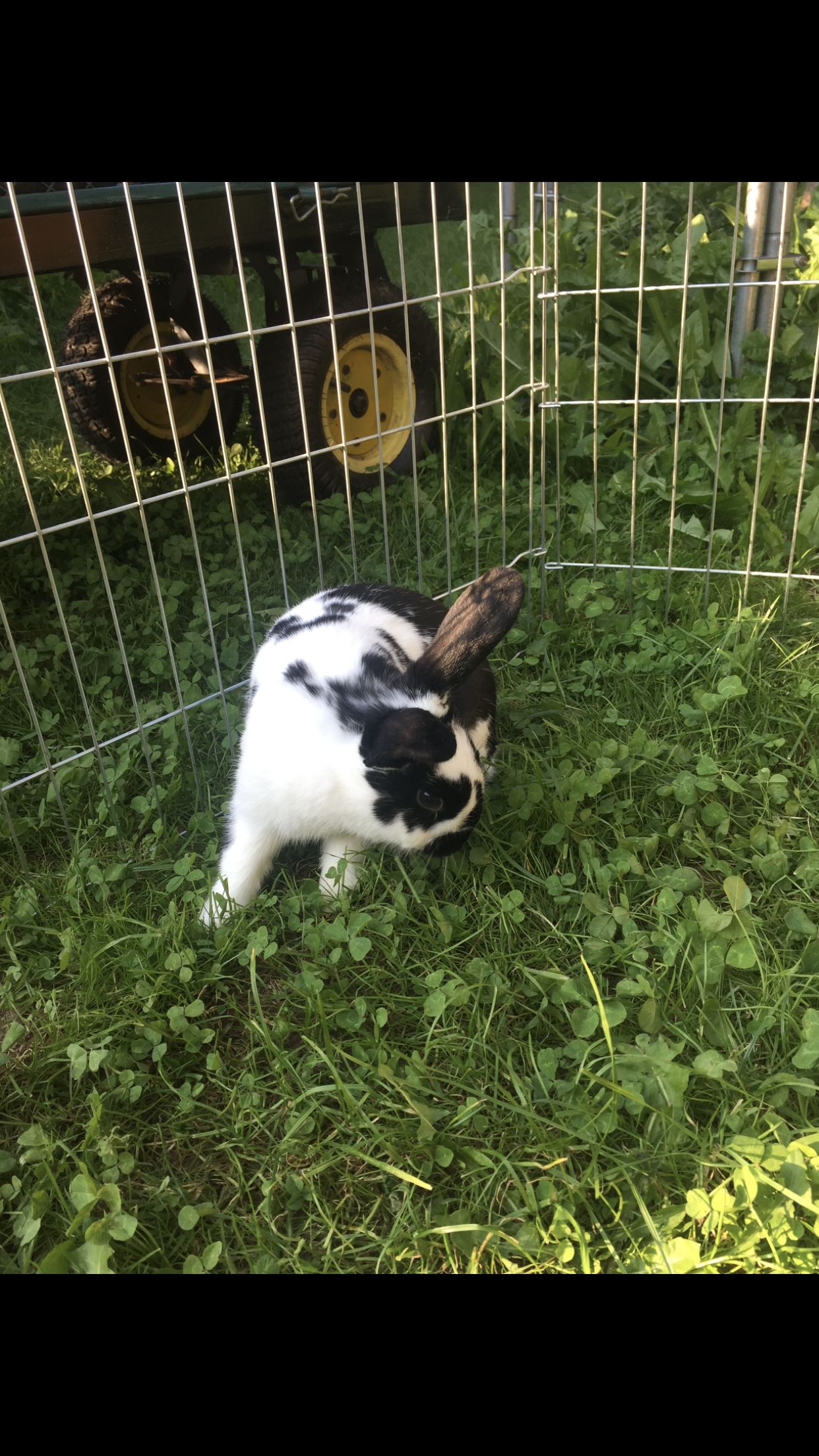 Lora - Einfeldstraße, Niedertaufkirchen