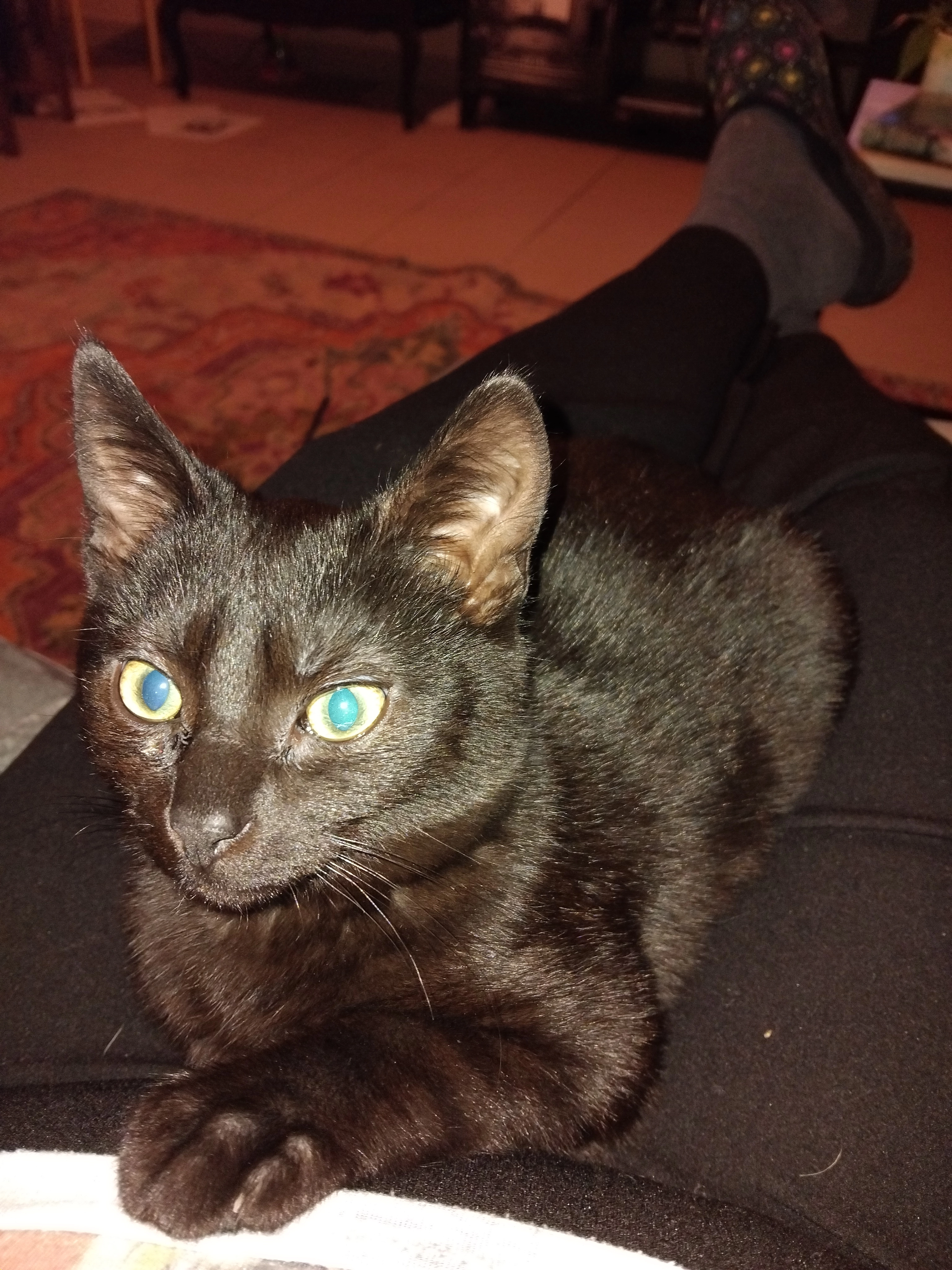 Pumba - Rue du Porteau, Varennes-Changy