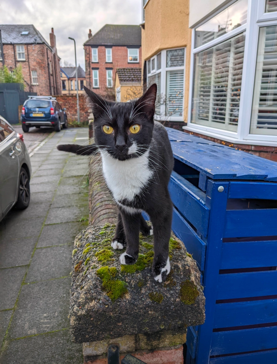 Rose - Eastern Drive, Liverpool