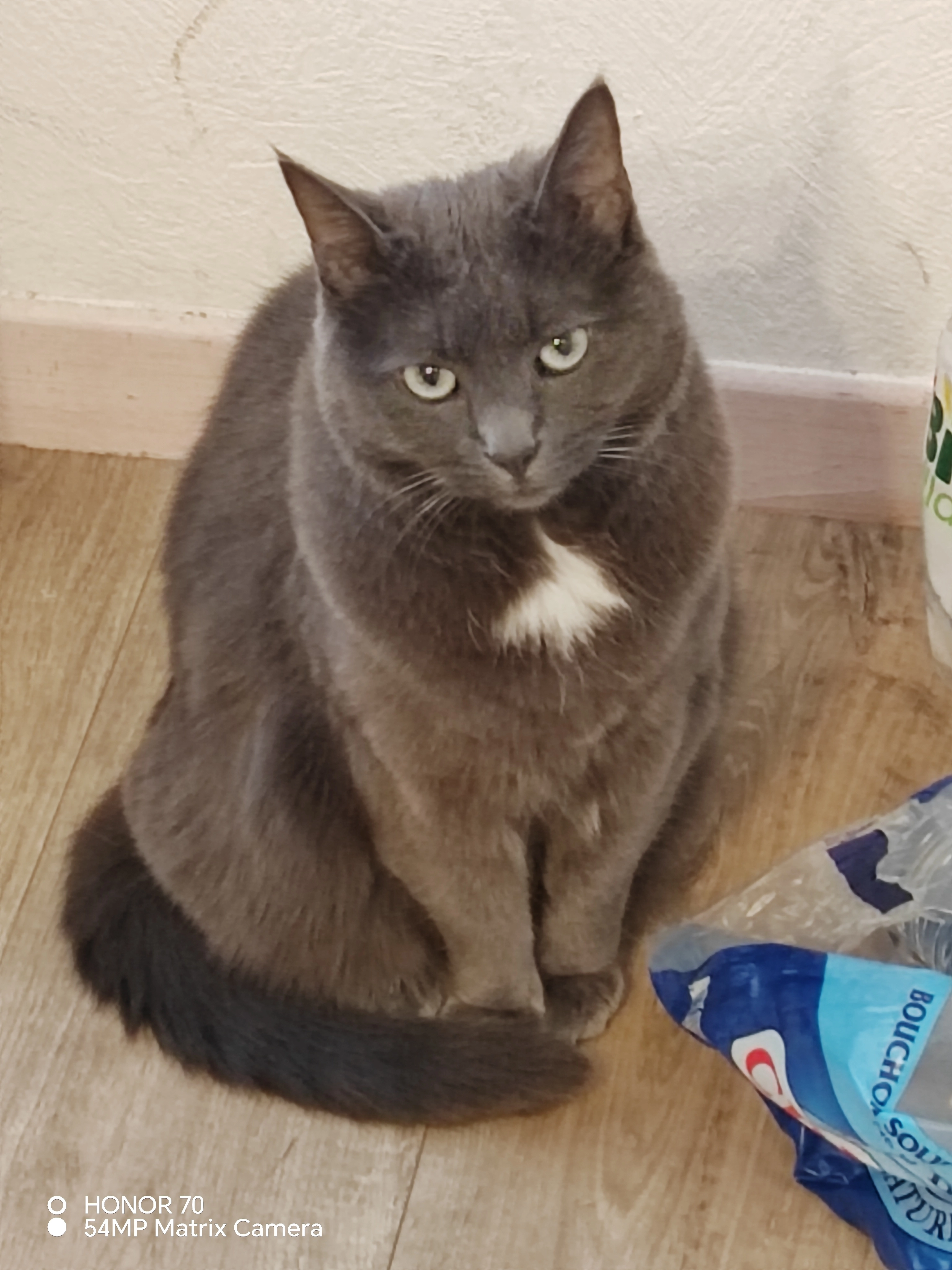 Luna - 21 Rue de l'Ancienne Filature, Wittenheim