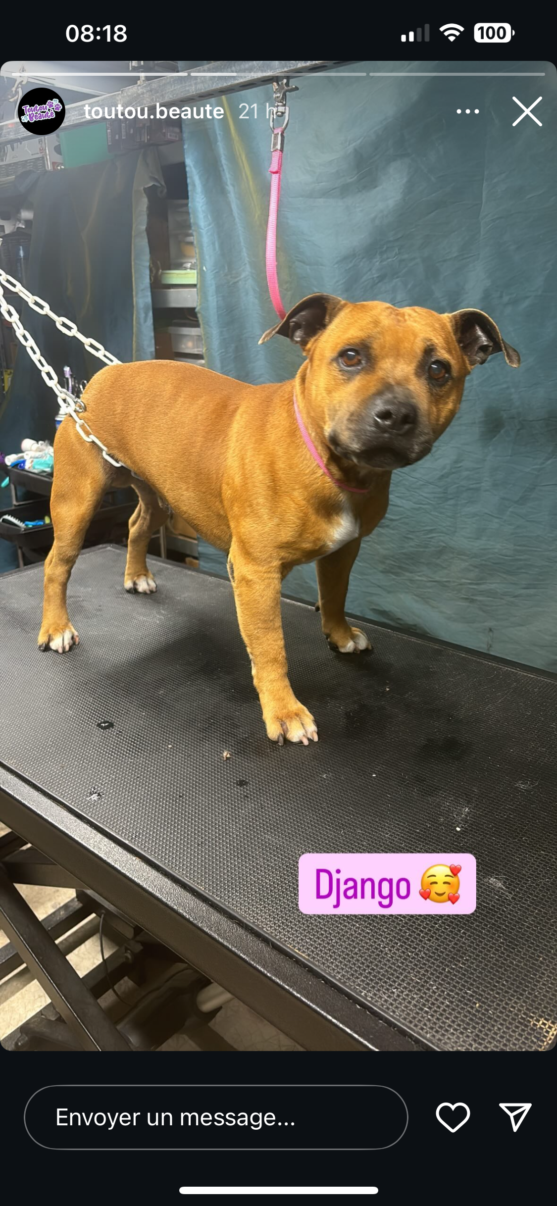 Django  - Impasse N°36, Marignane