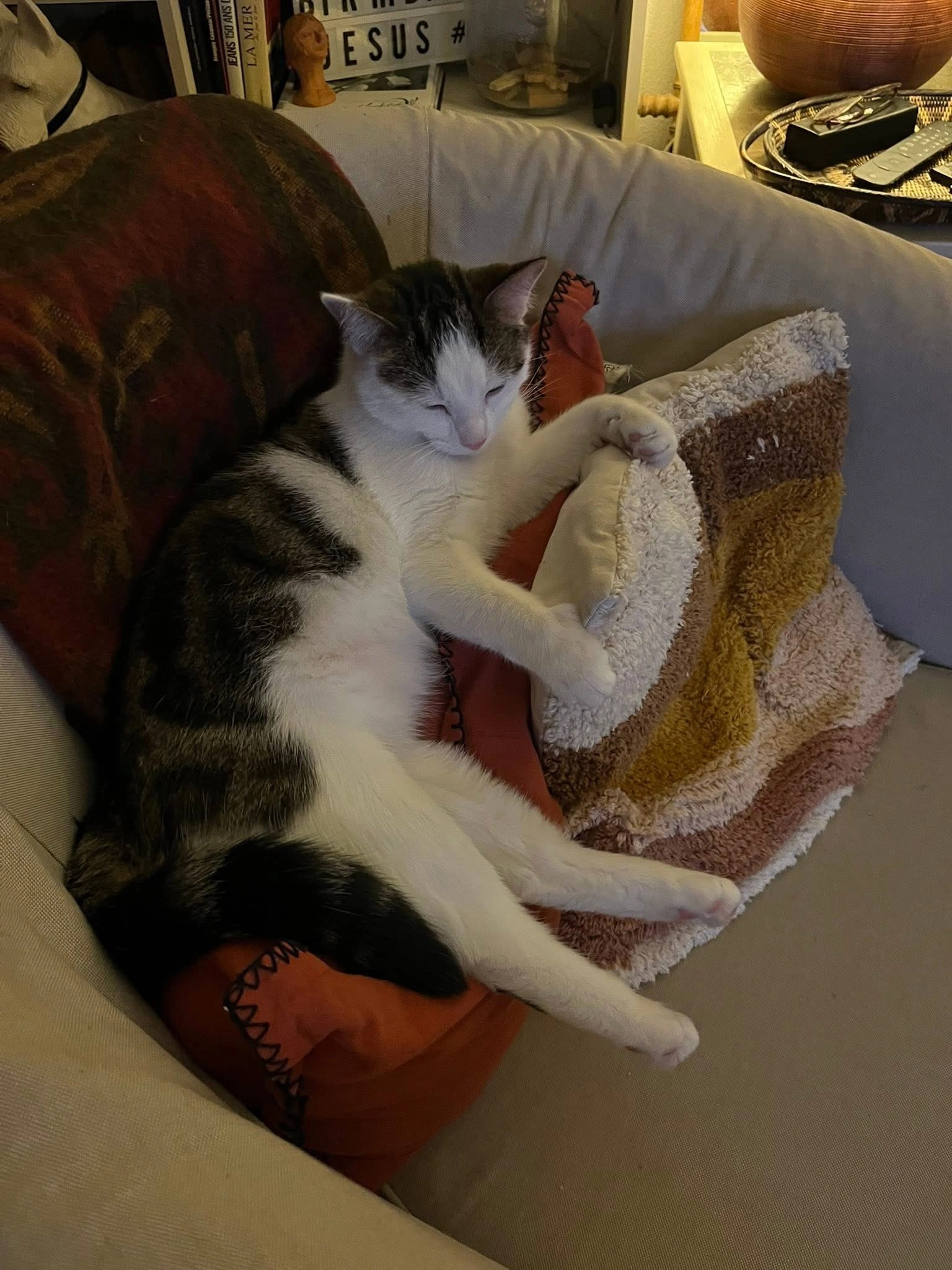 Esmé  - Impasse Mozart, Sauvian