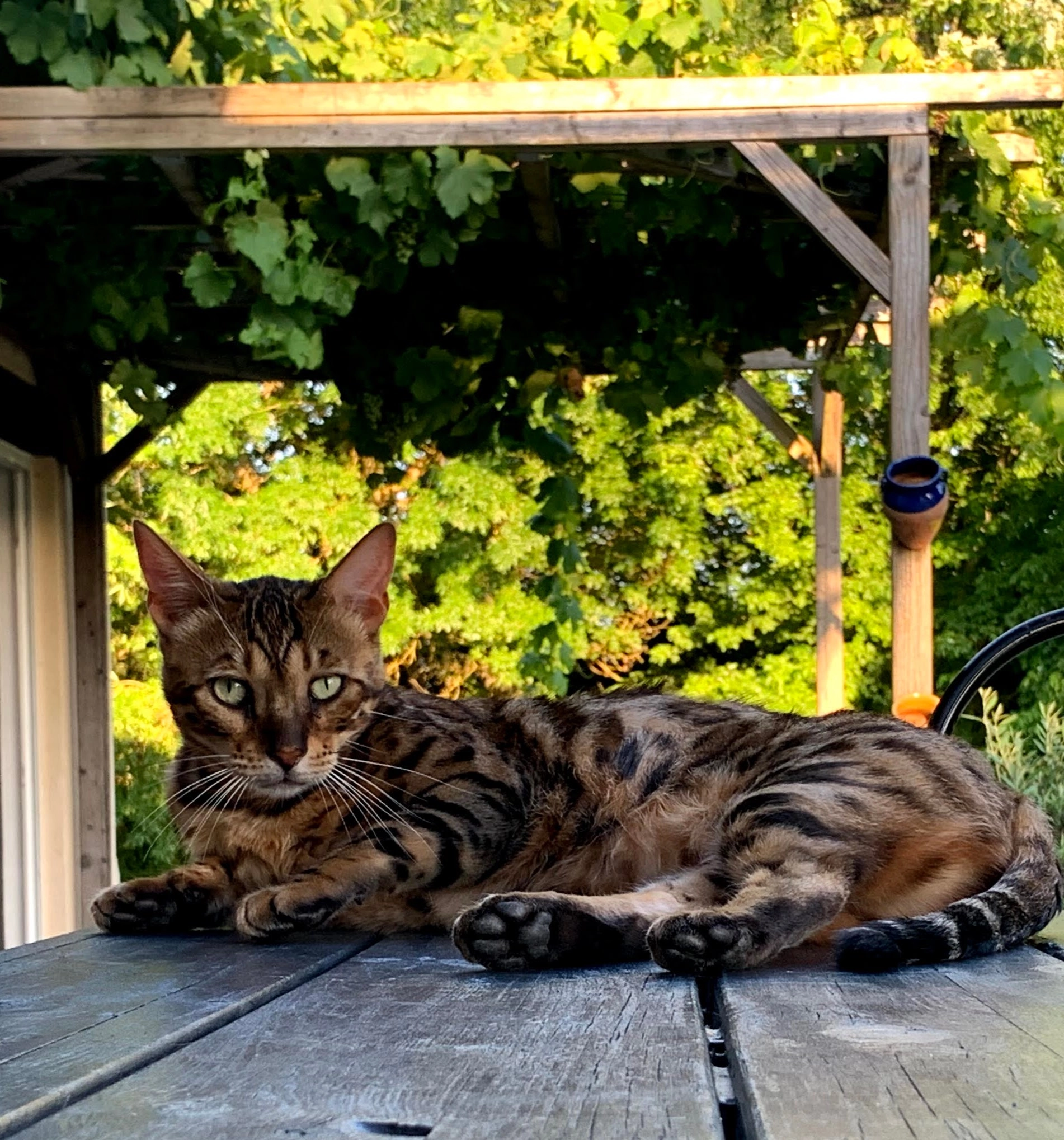 Grou - Route De Campalot, Saint-Cirq