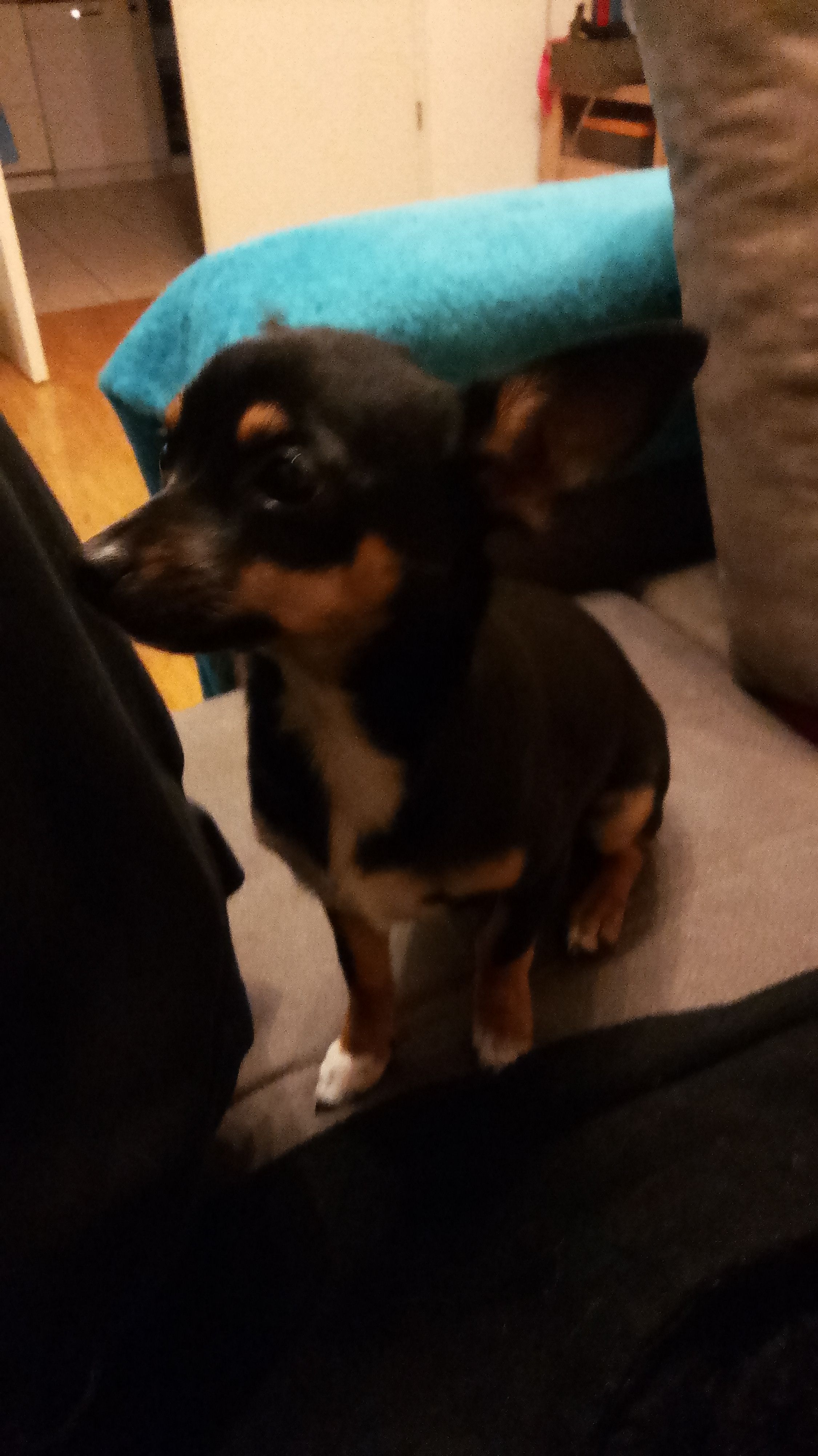 Jacky - Christoph-Schmitt-Straße, Lahr/Schwarzwald