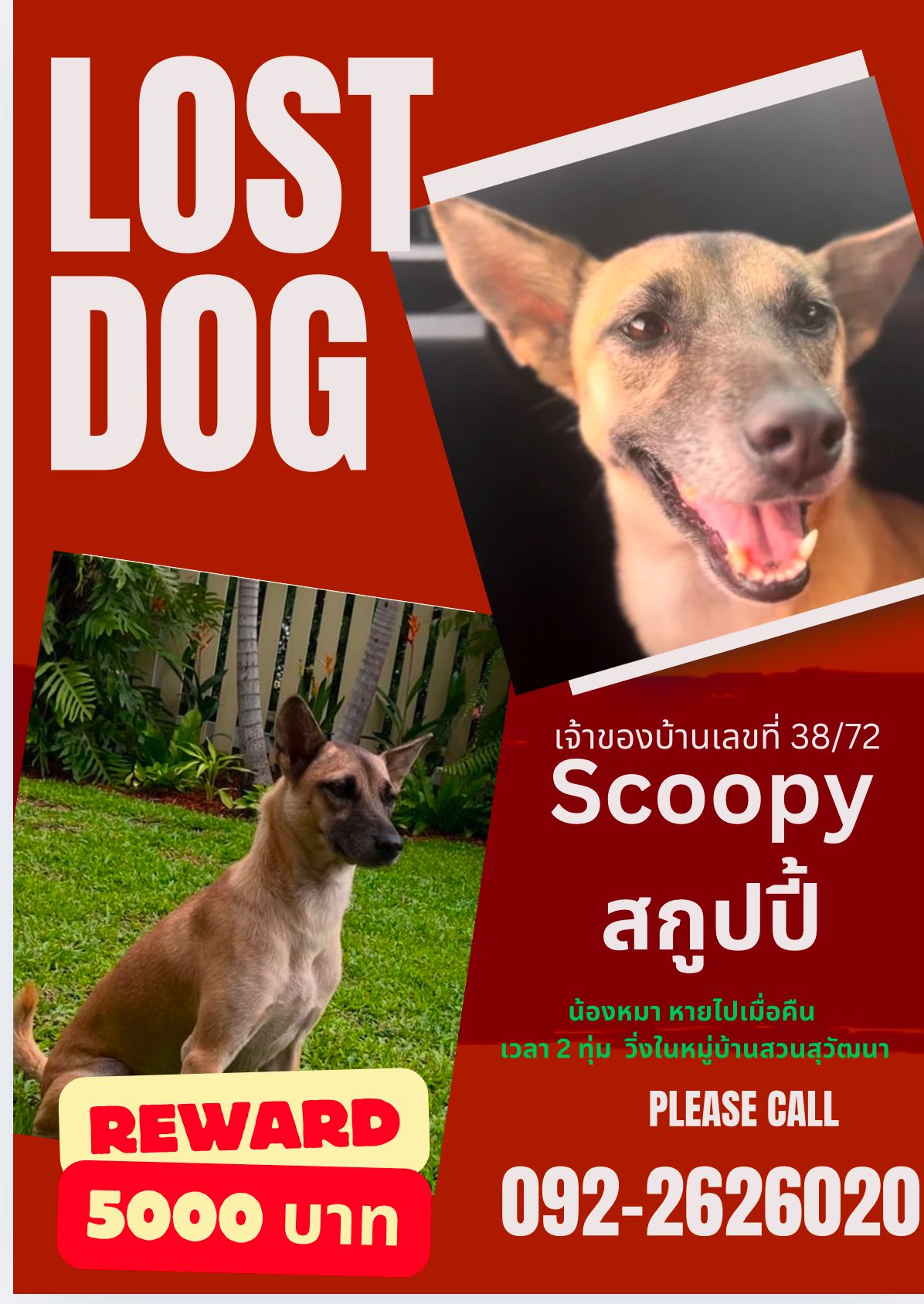 Scoopy - บ้านสวนสุวัฒนา, Pattaya