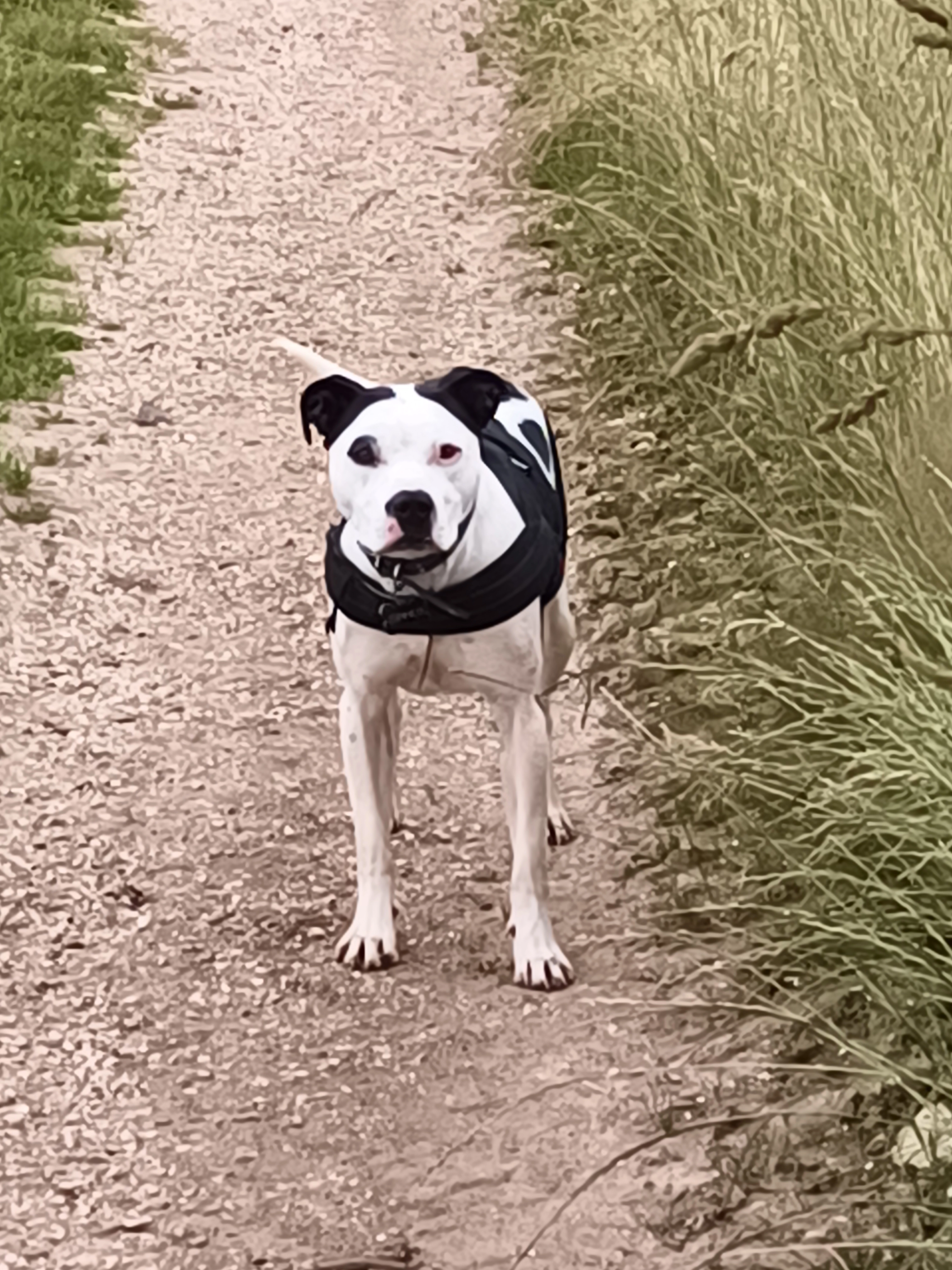 Saeko - Impasse De L'école, Frenelles-en-Vexin
