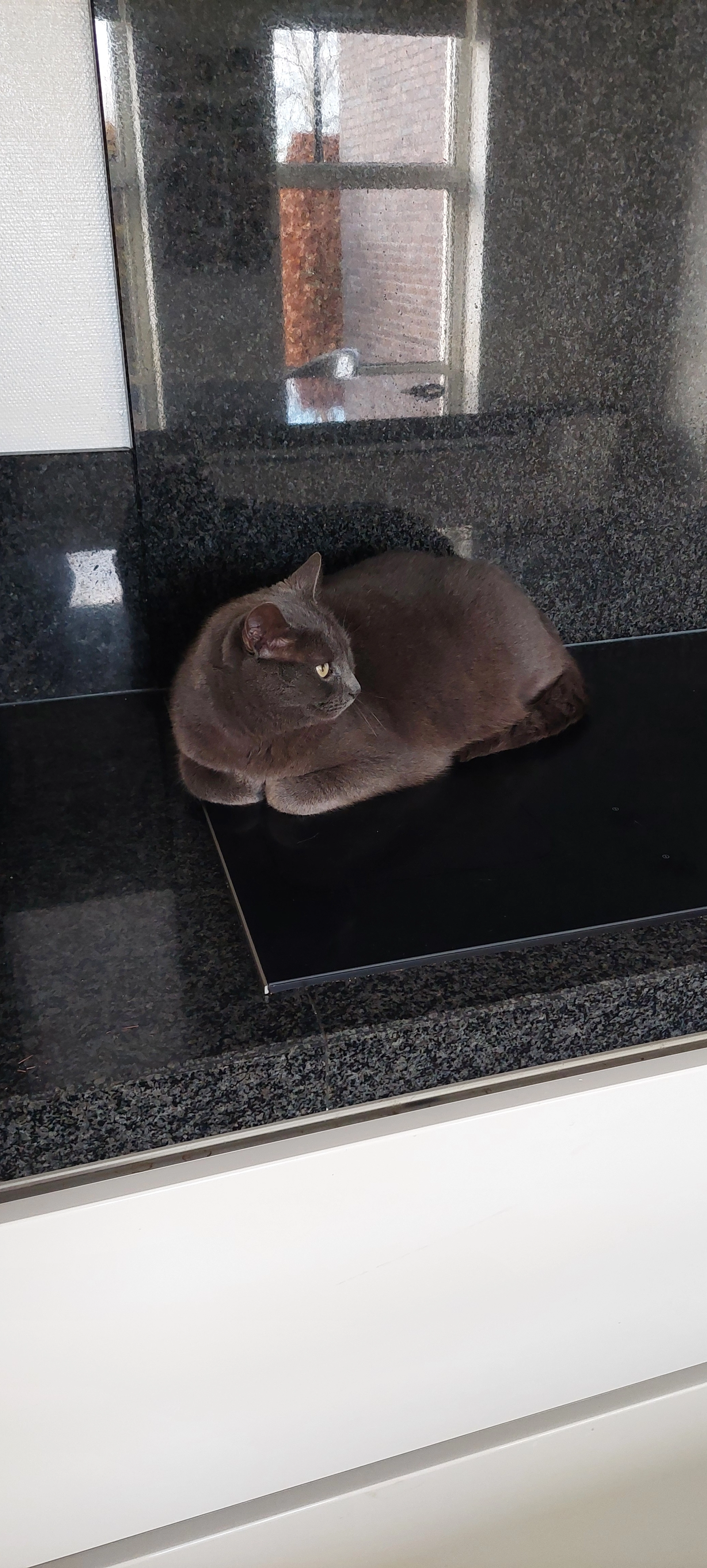 Karel - Grutto, Baflo