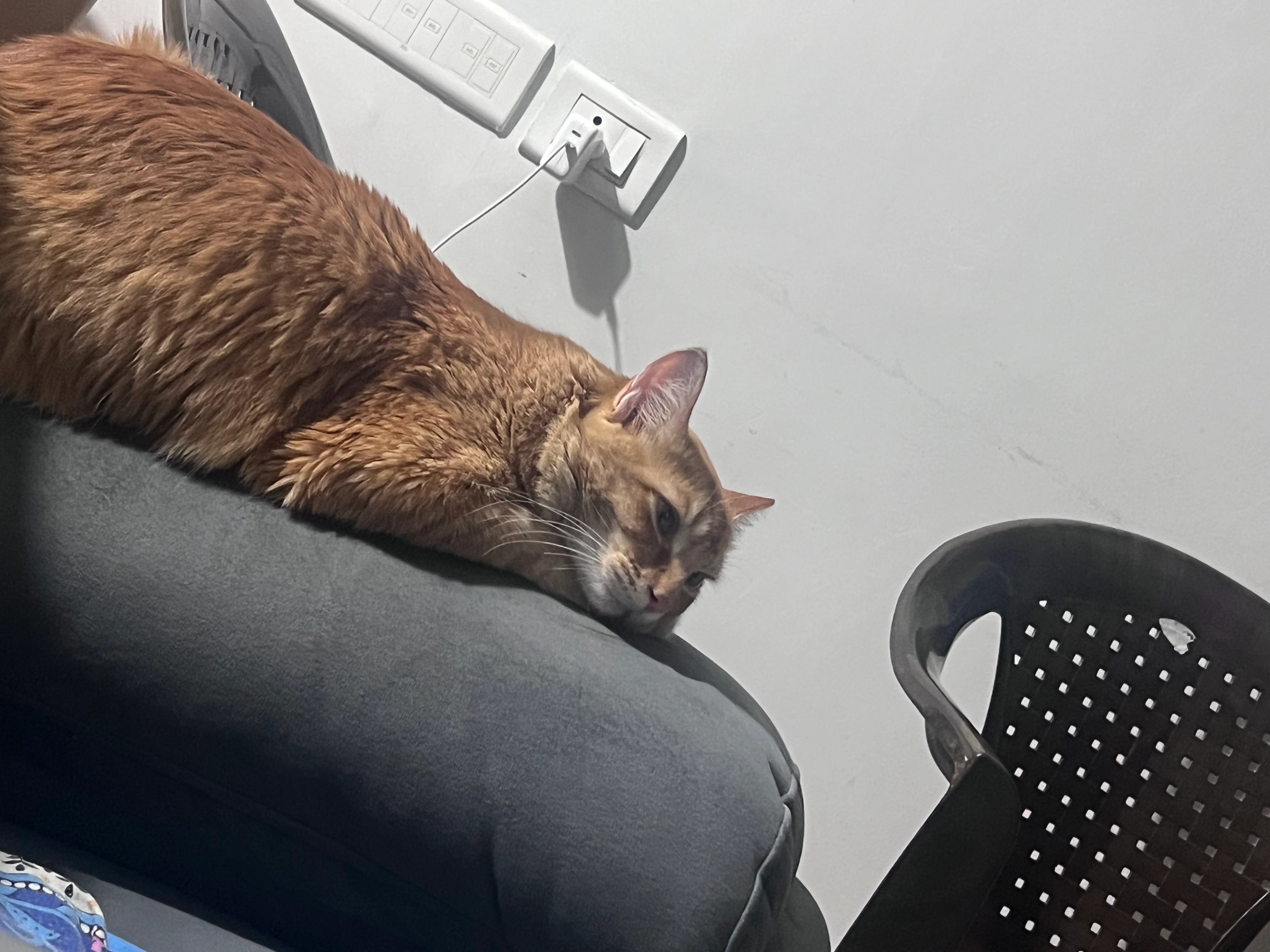 Kathir - Nobel Residency Road, Bengaluru