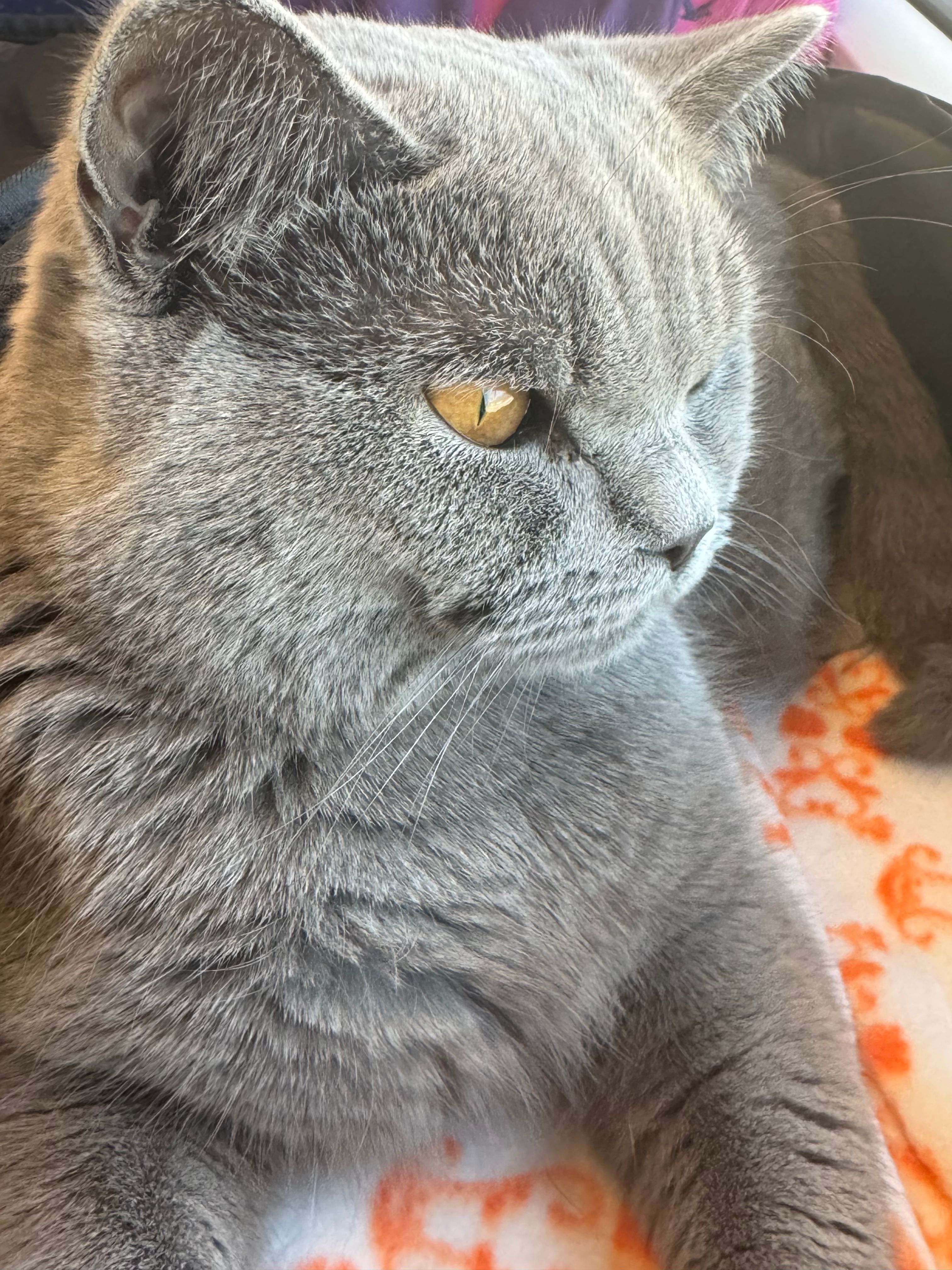 Tom - Bacharacher Straße, Rheinböllen