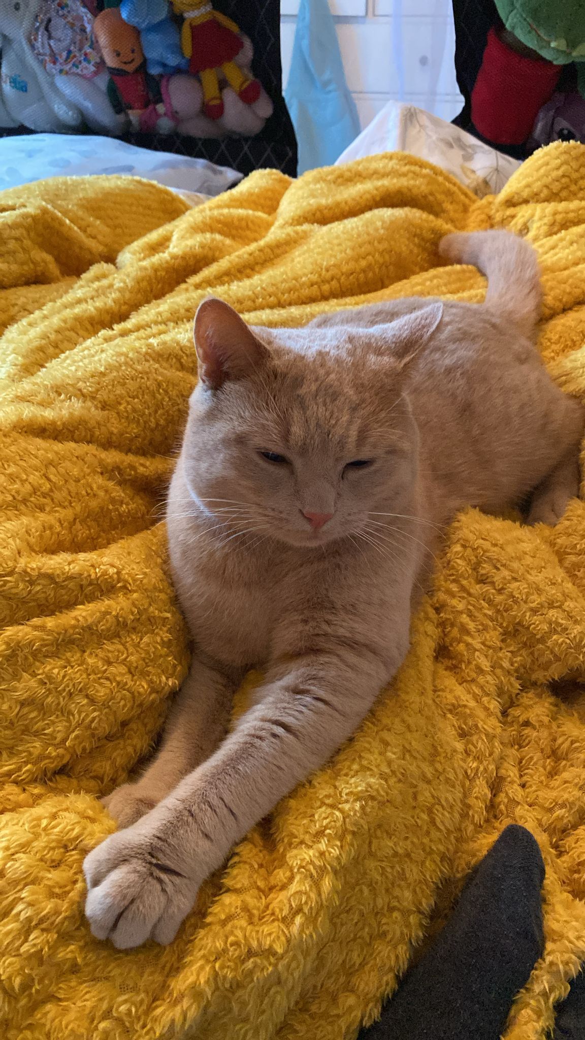 Carl - Top House Court, Pontefract