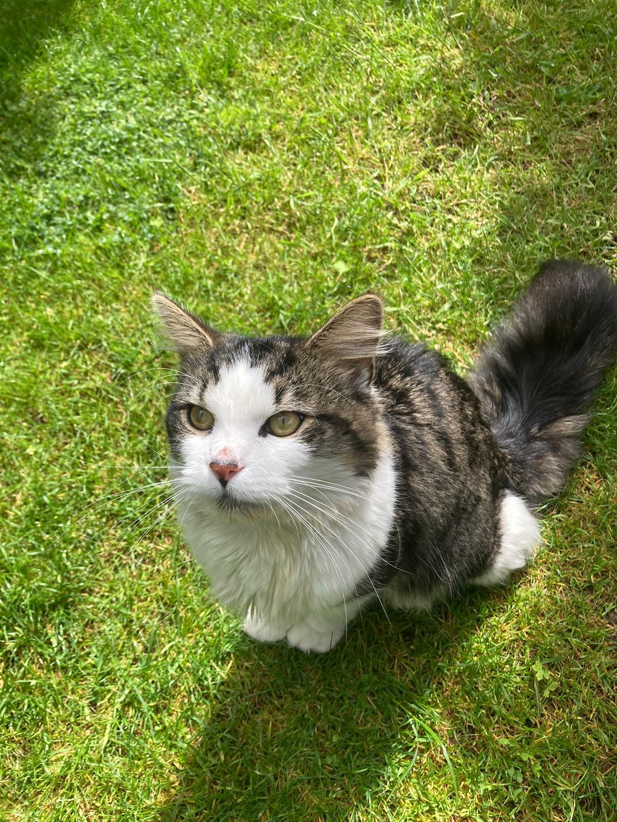 Coco - Brook Street, Carlisle