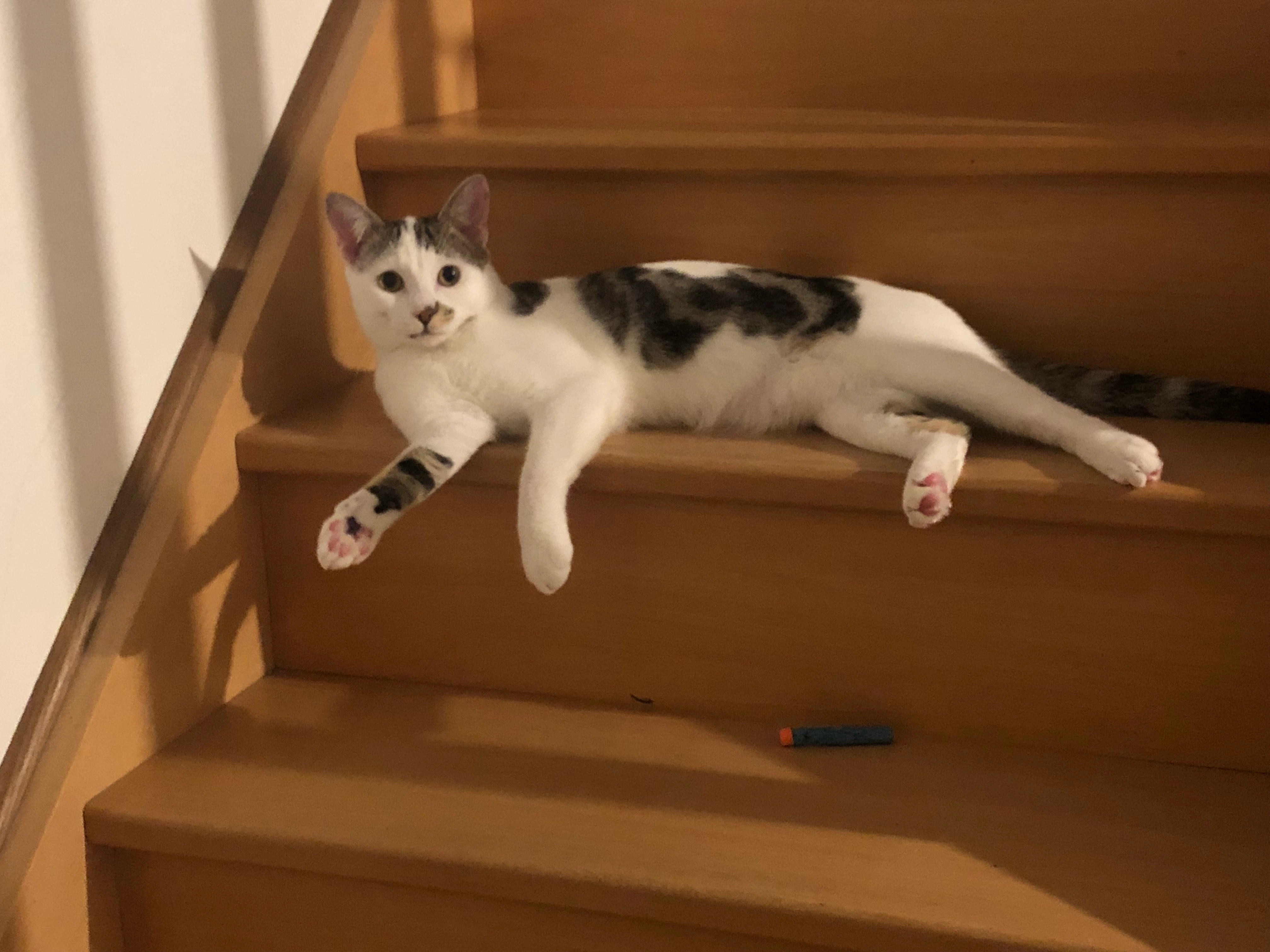 Uno - 38 Rue de Cheval Rue, Boutigny-sur-Essonne