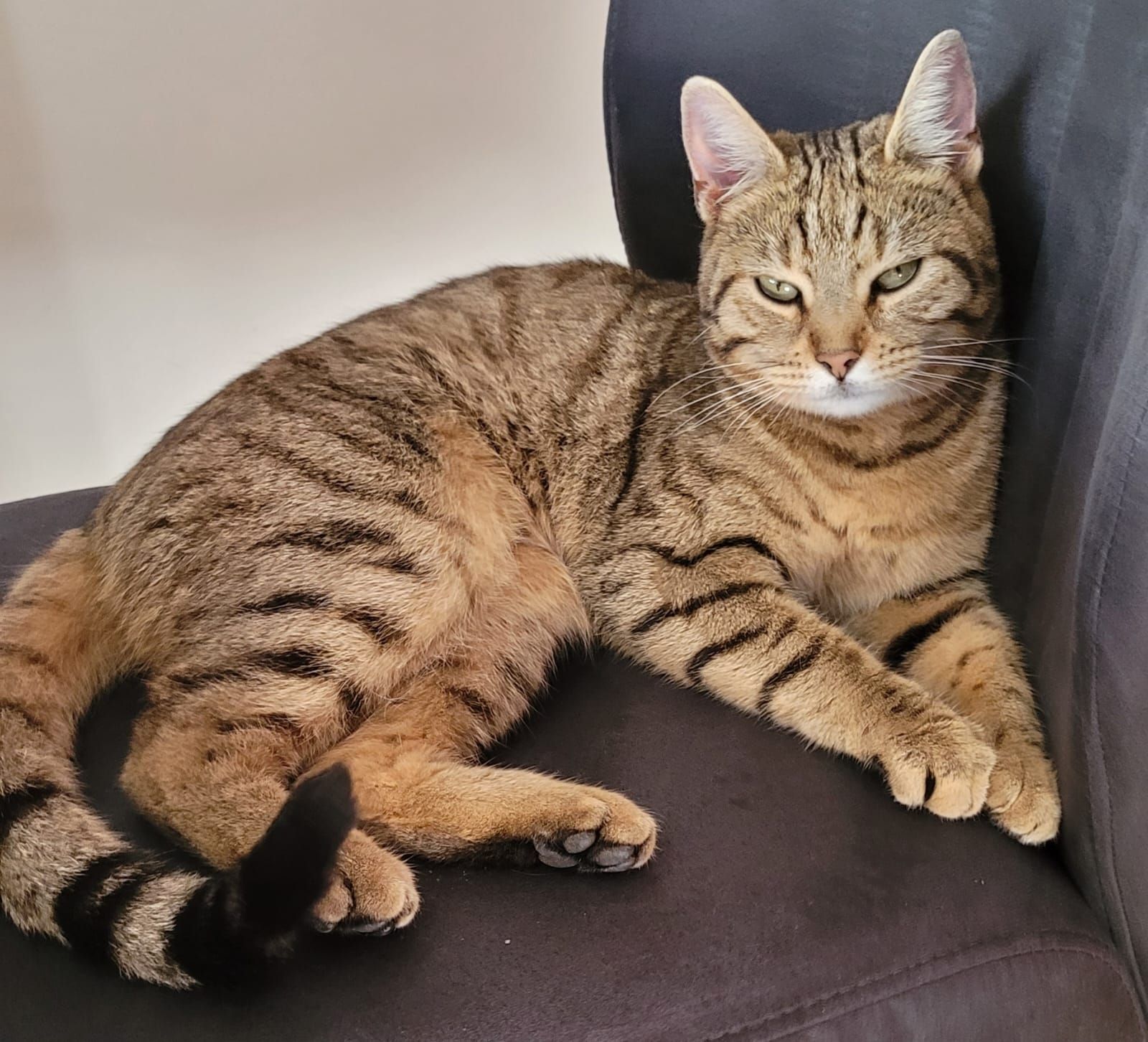 Holly - Oertzenhof, Insel Poel