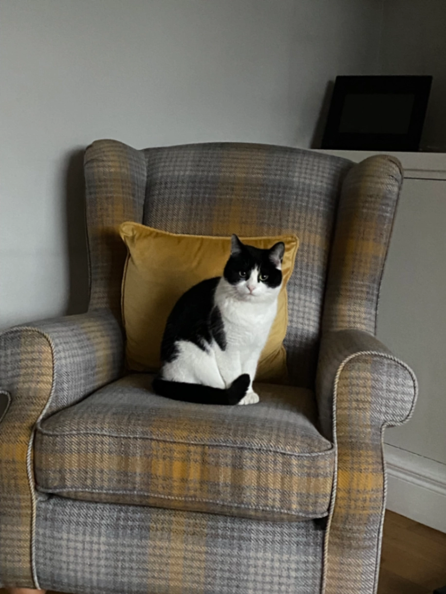 Mylkshake - Groomsport Road, Bangor