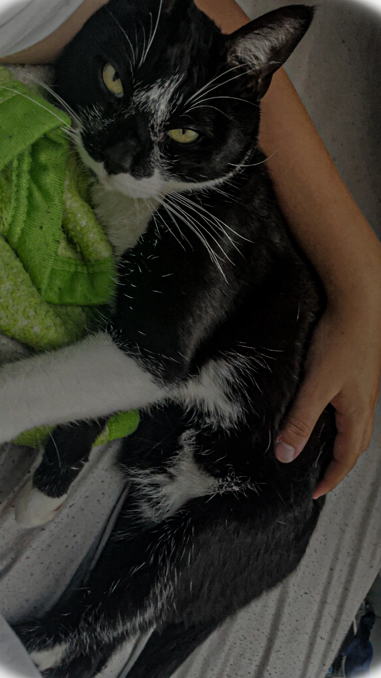 Tanguy - 15 Rue Georges Mandel, Val-de-Briey