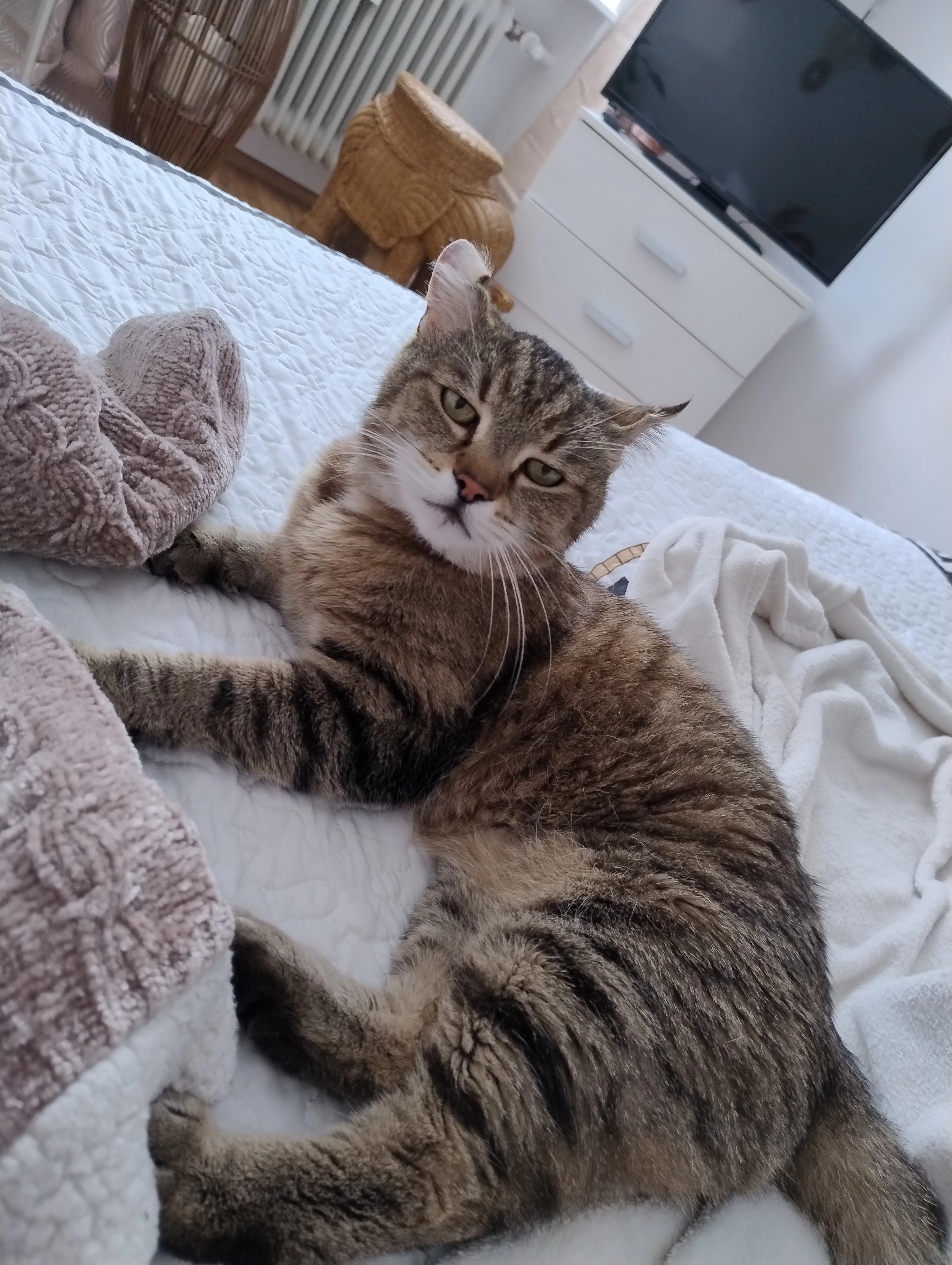 Balu - Von-Baeyer-Straße, Burghausen